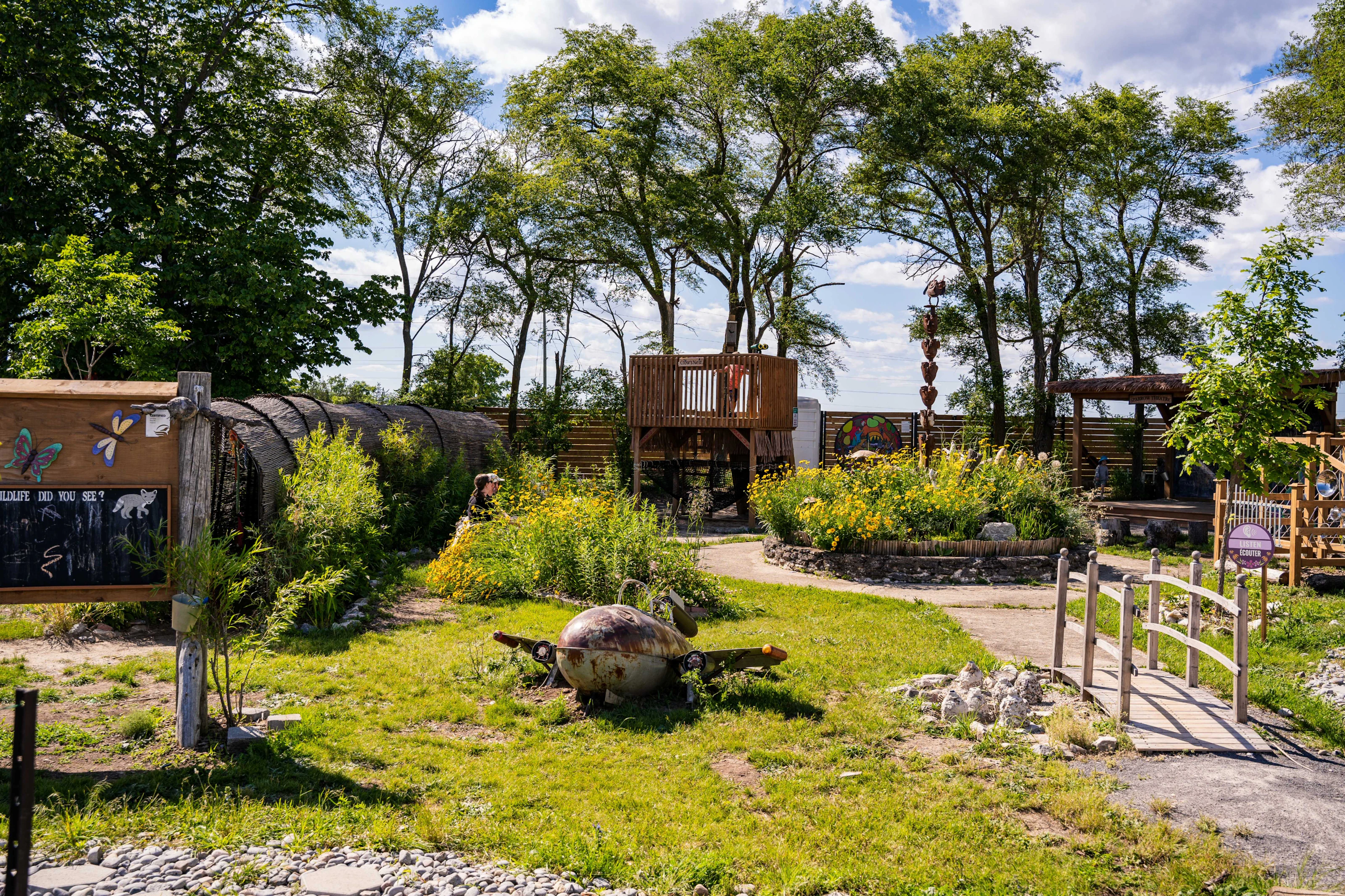 Sensory Garden
