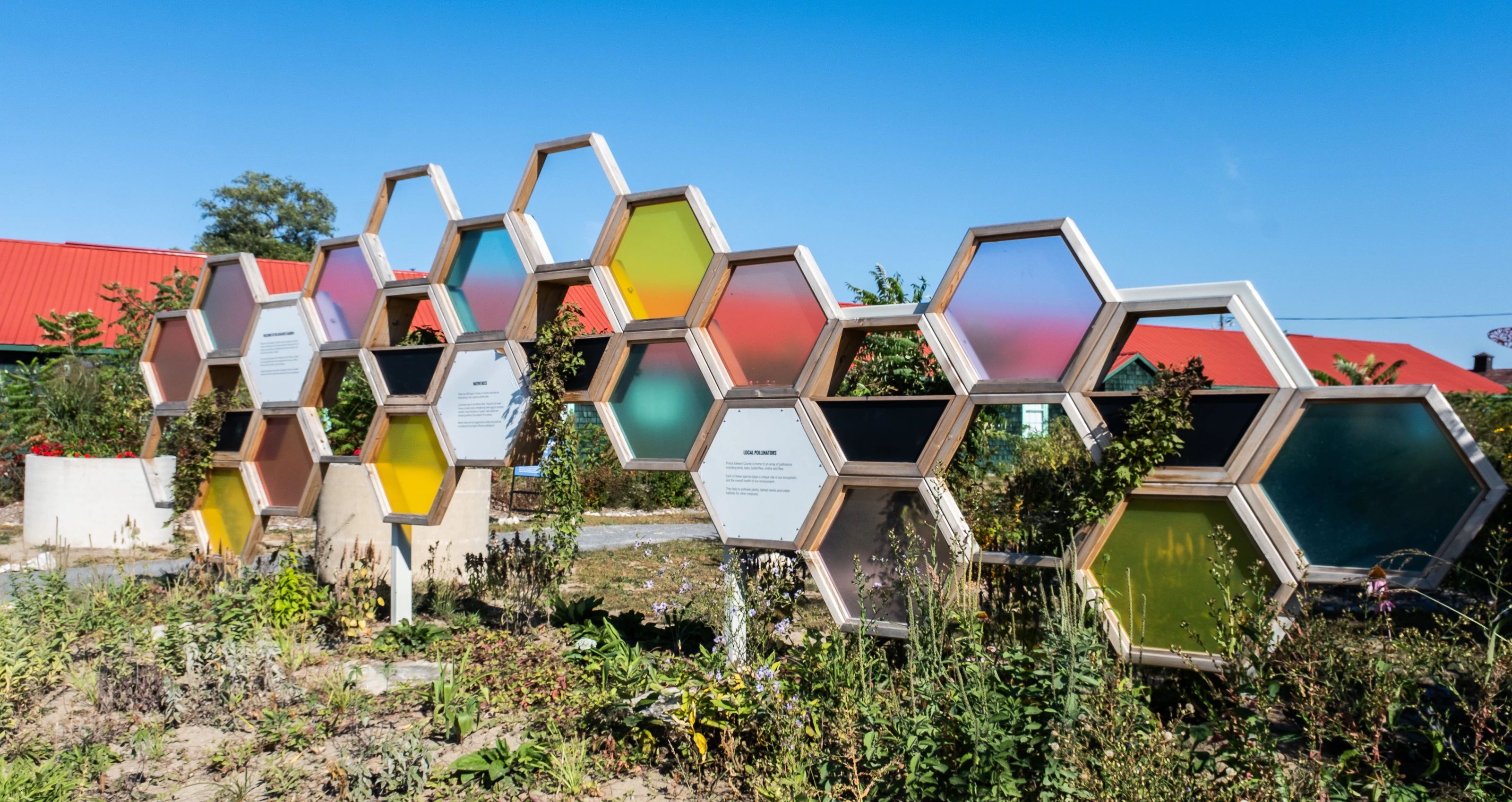 Aviator Garden