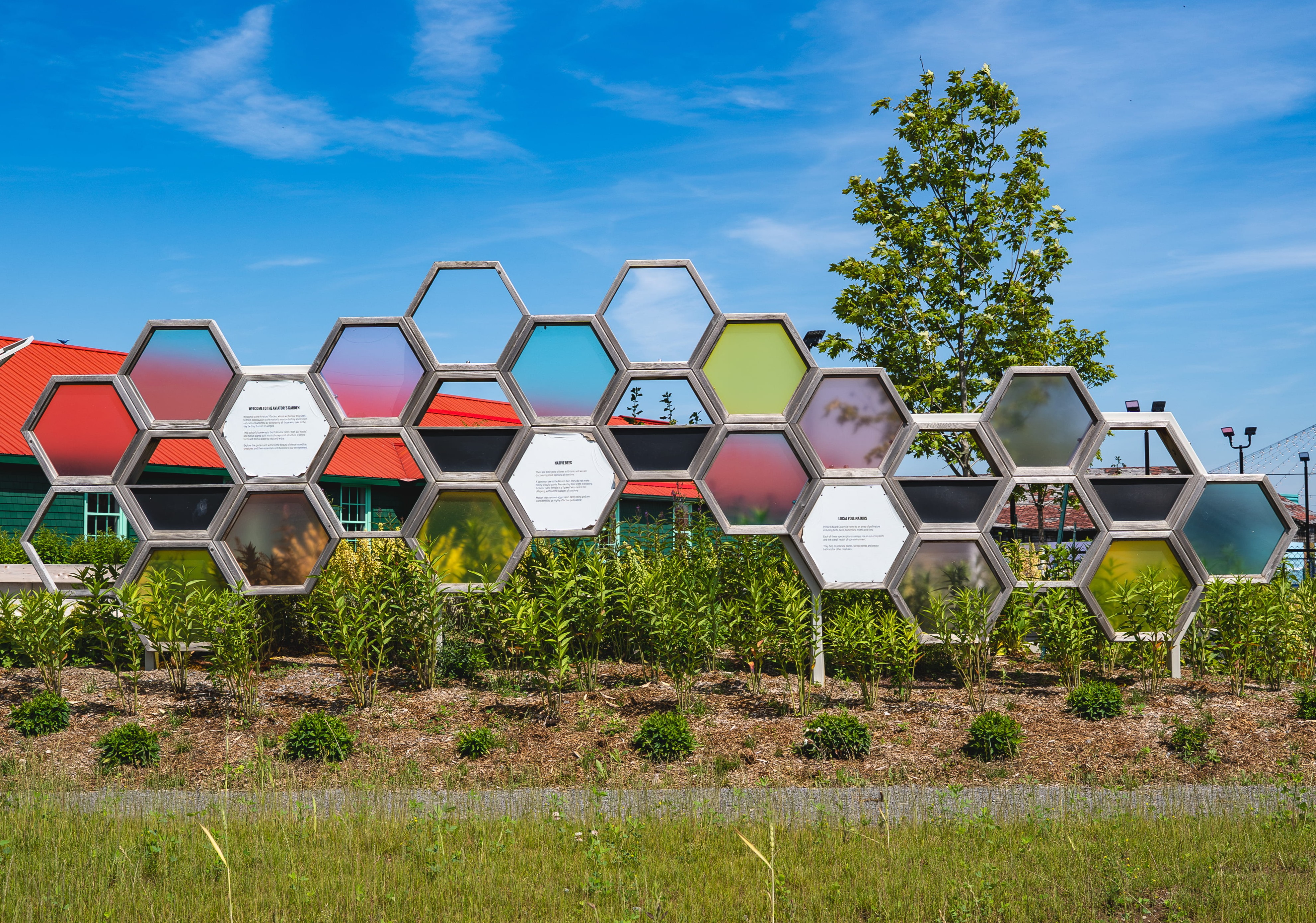 Aviator Garden