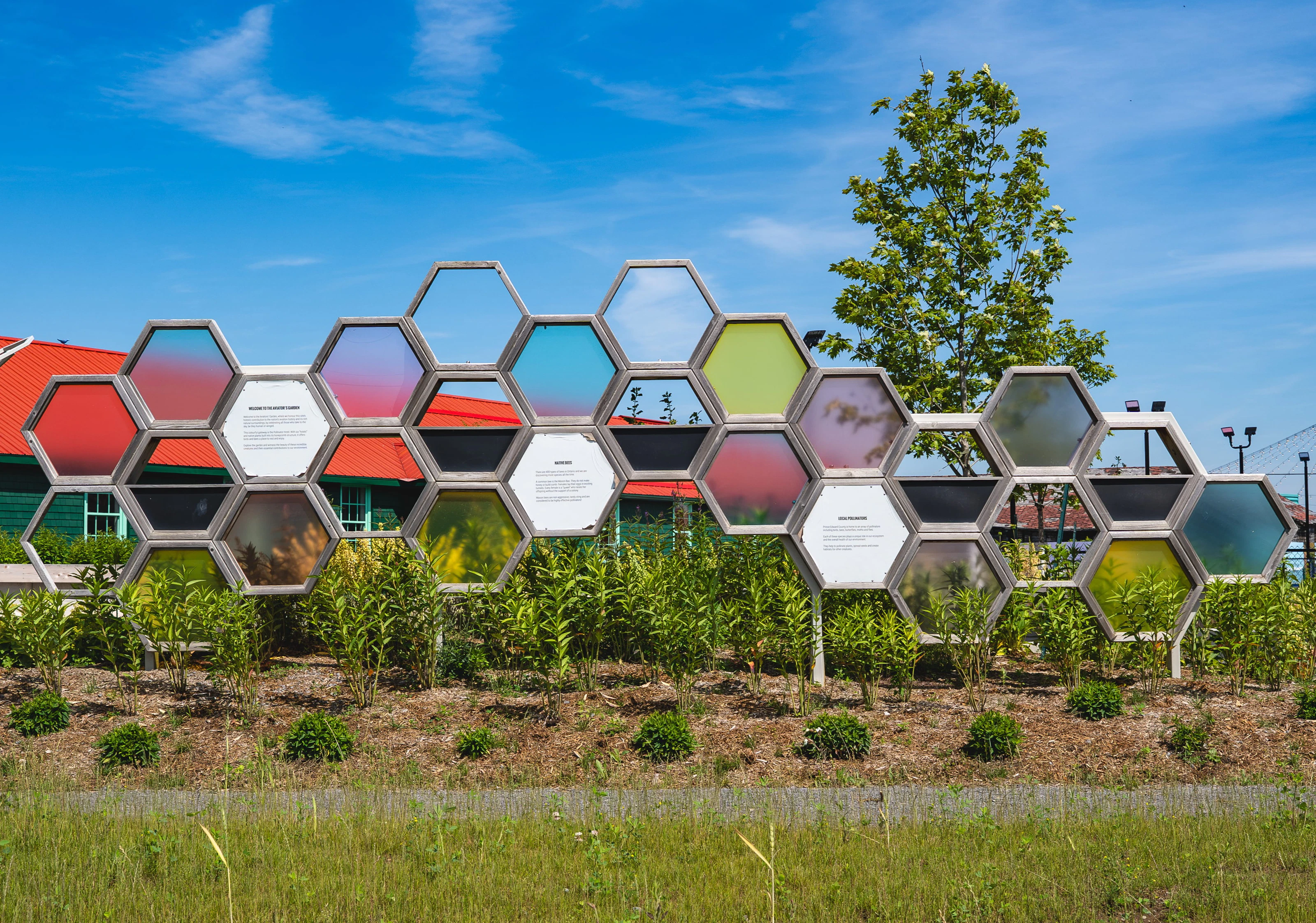 Aviator Garden