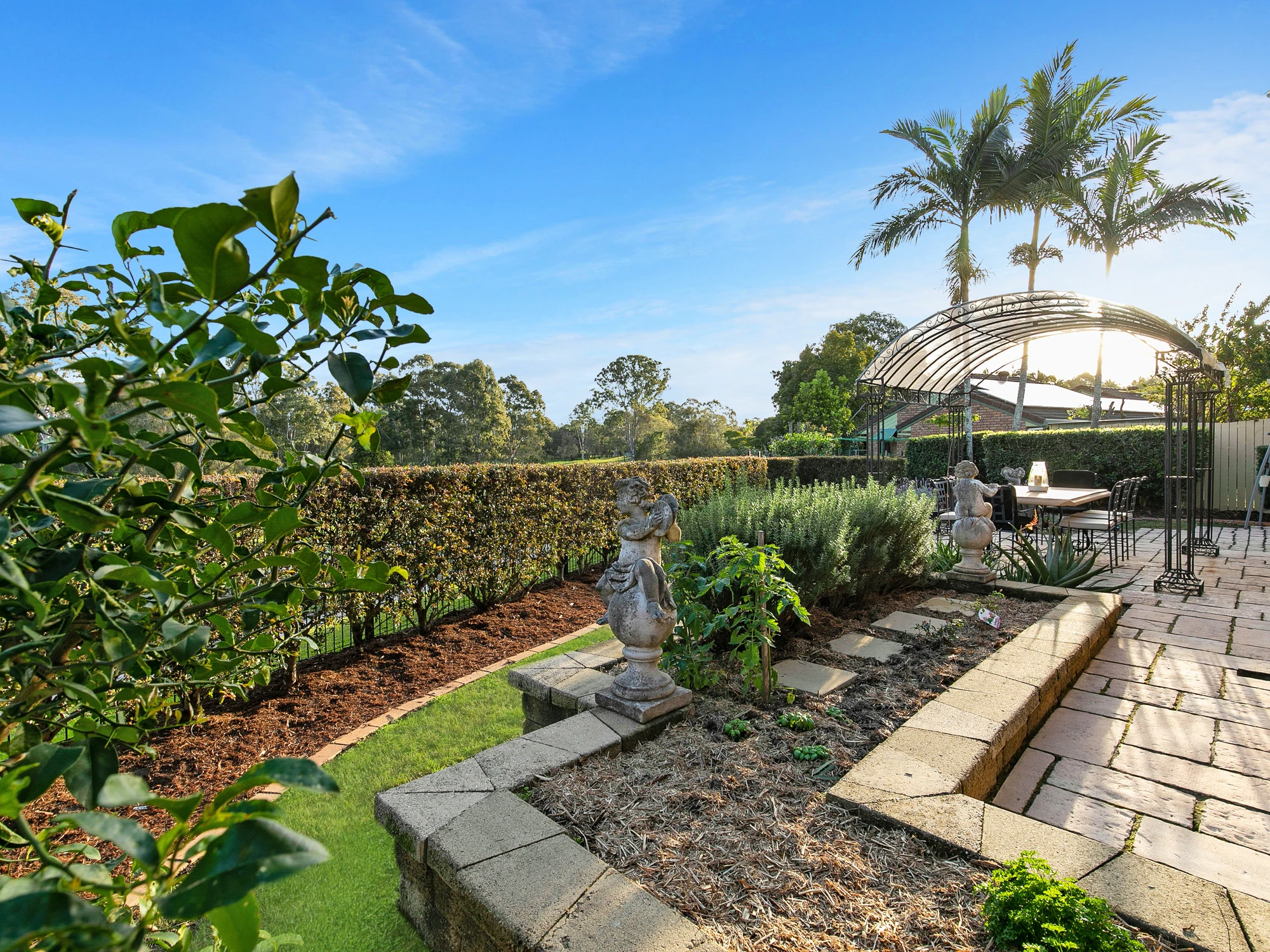 garden