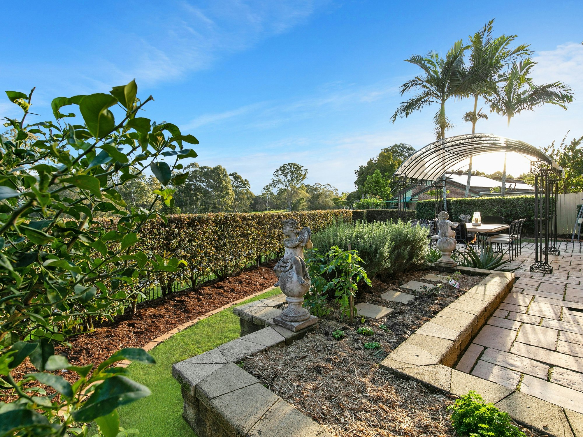 garden