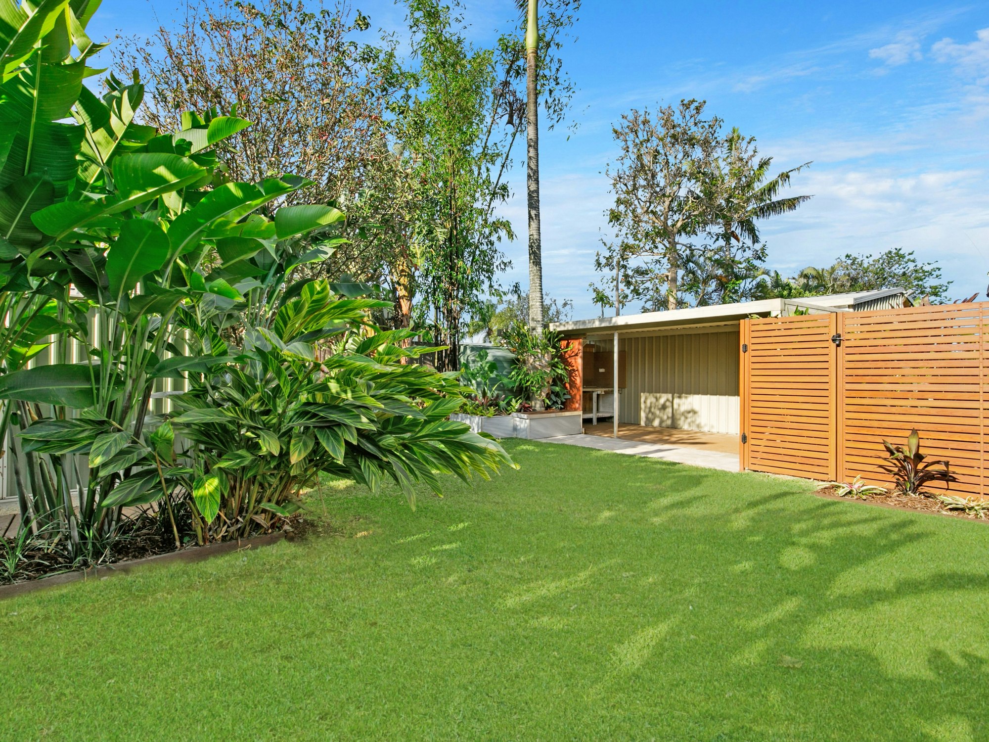 backyard