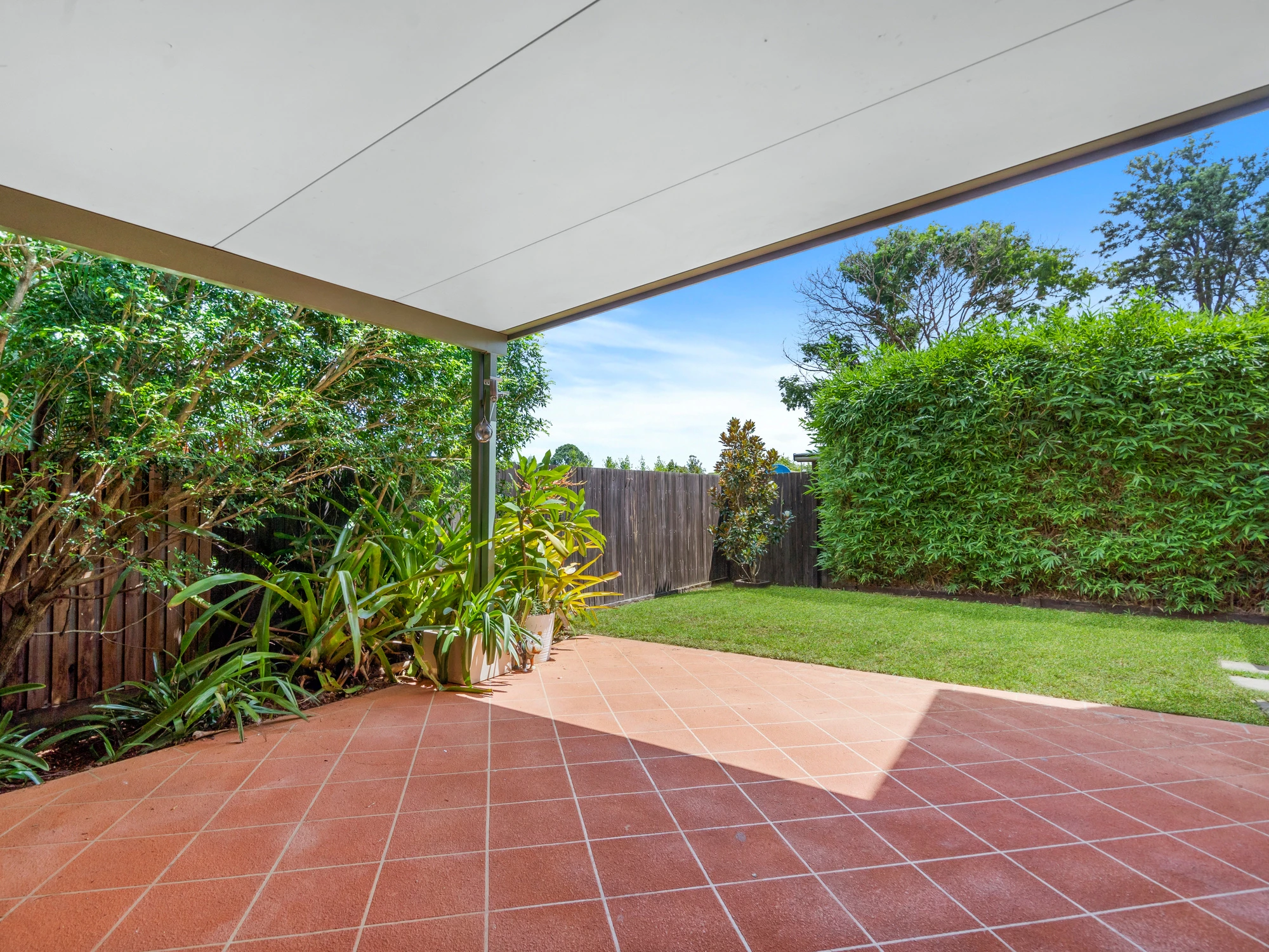 backyard