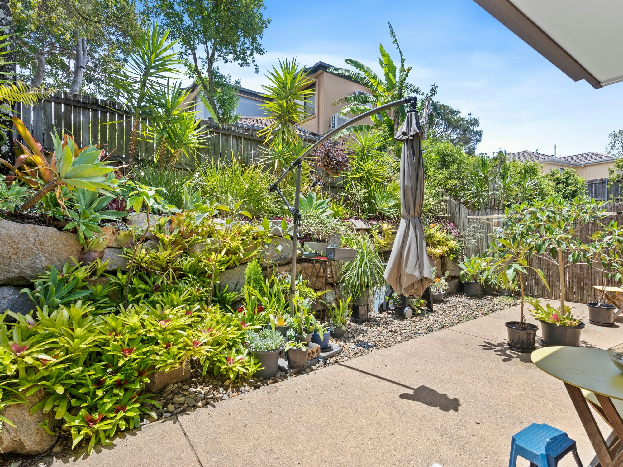backyard