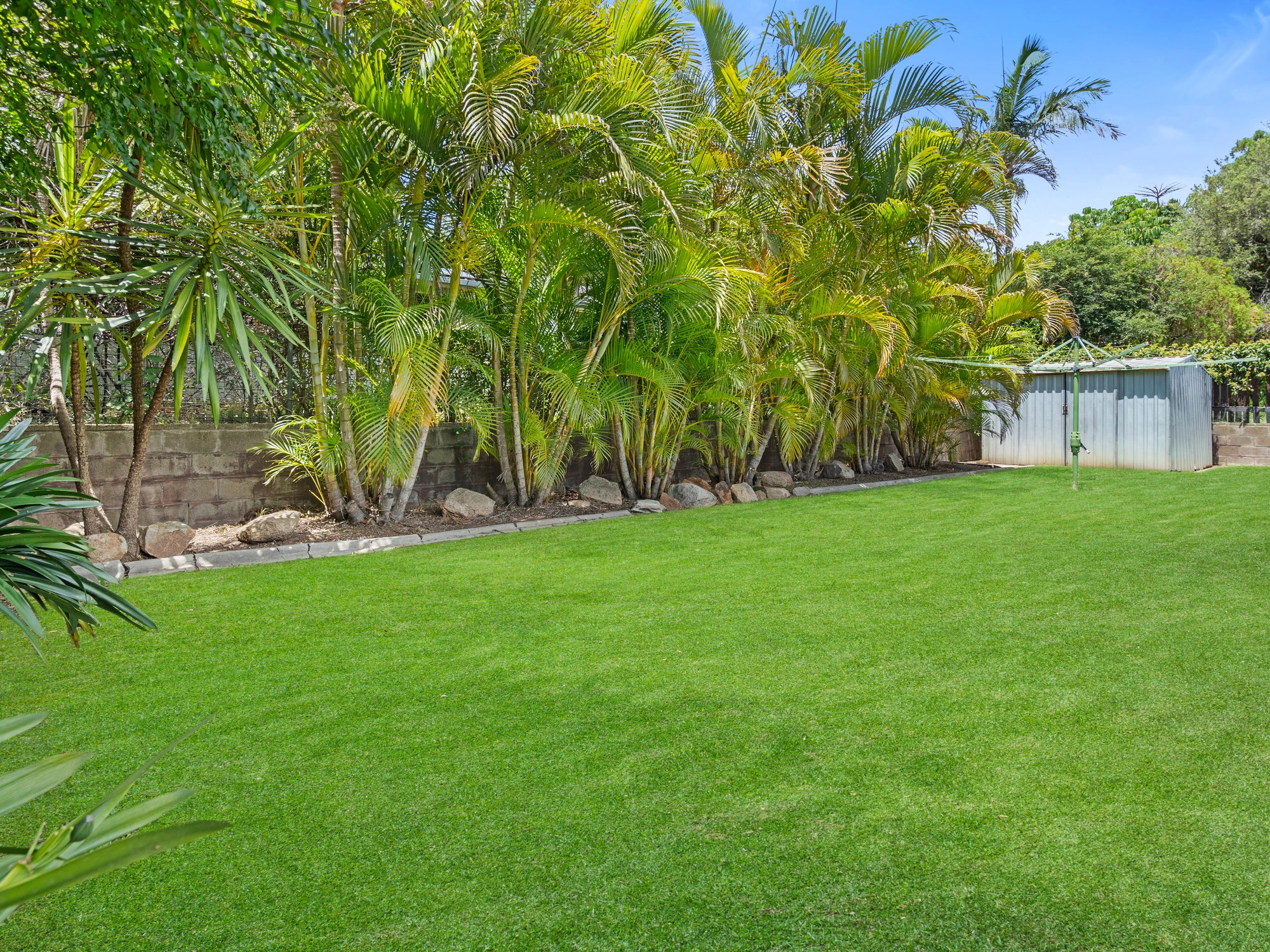 grass