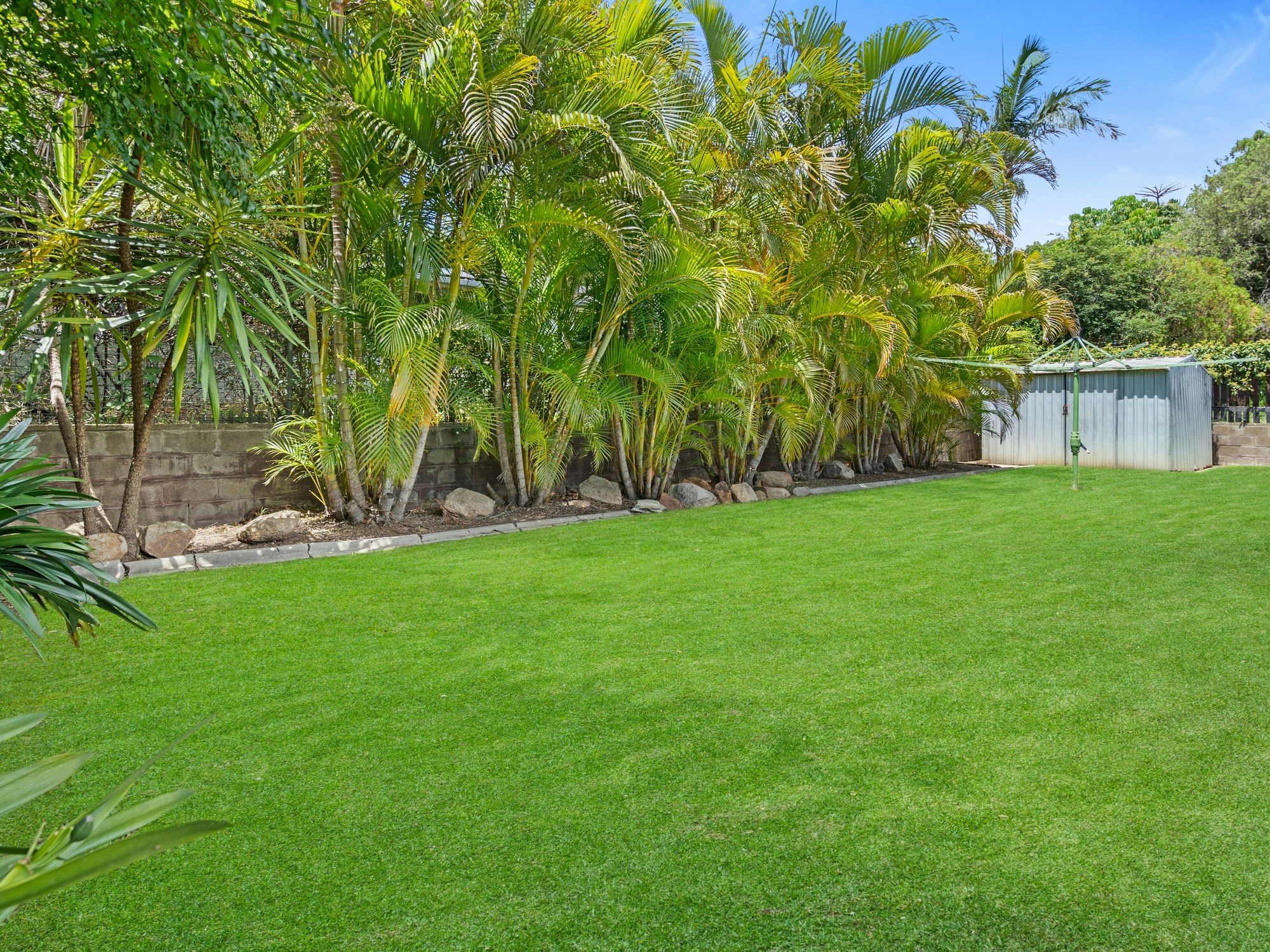 grass