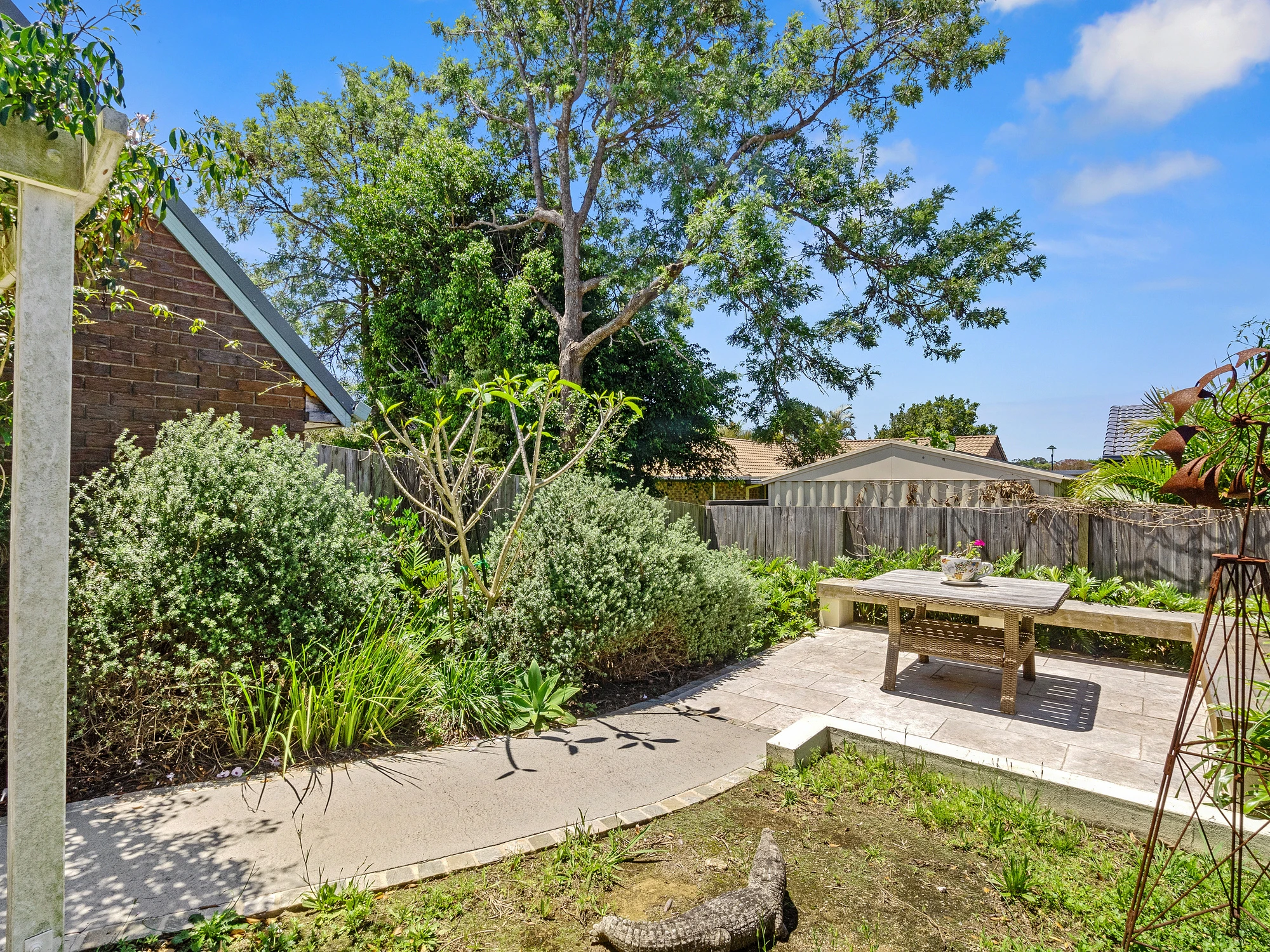 backyard