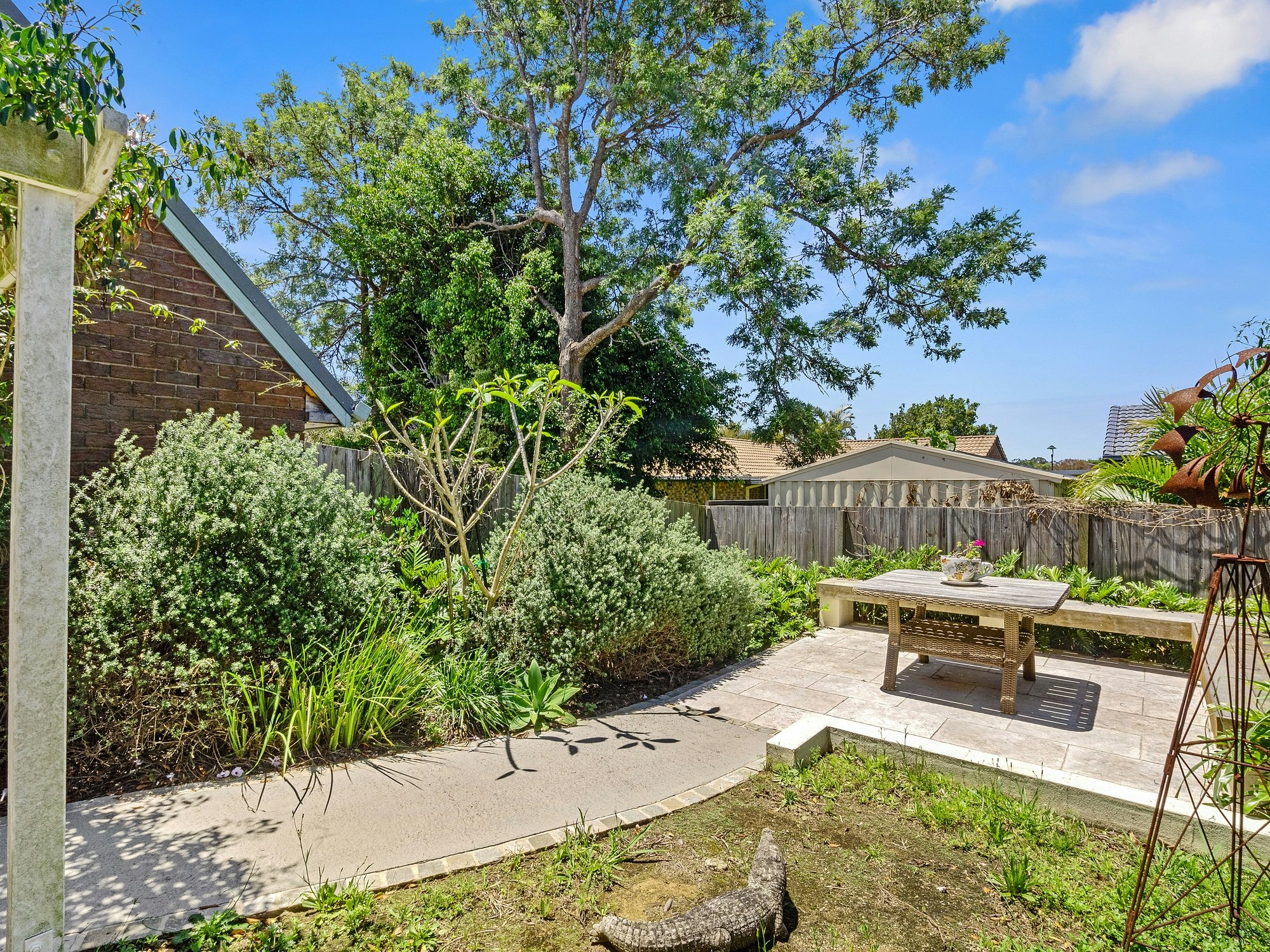 backyard