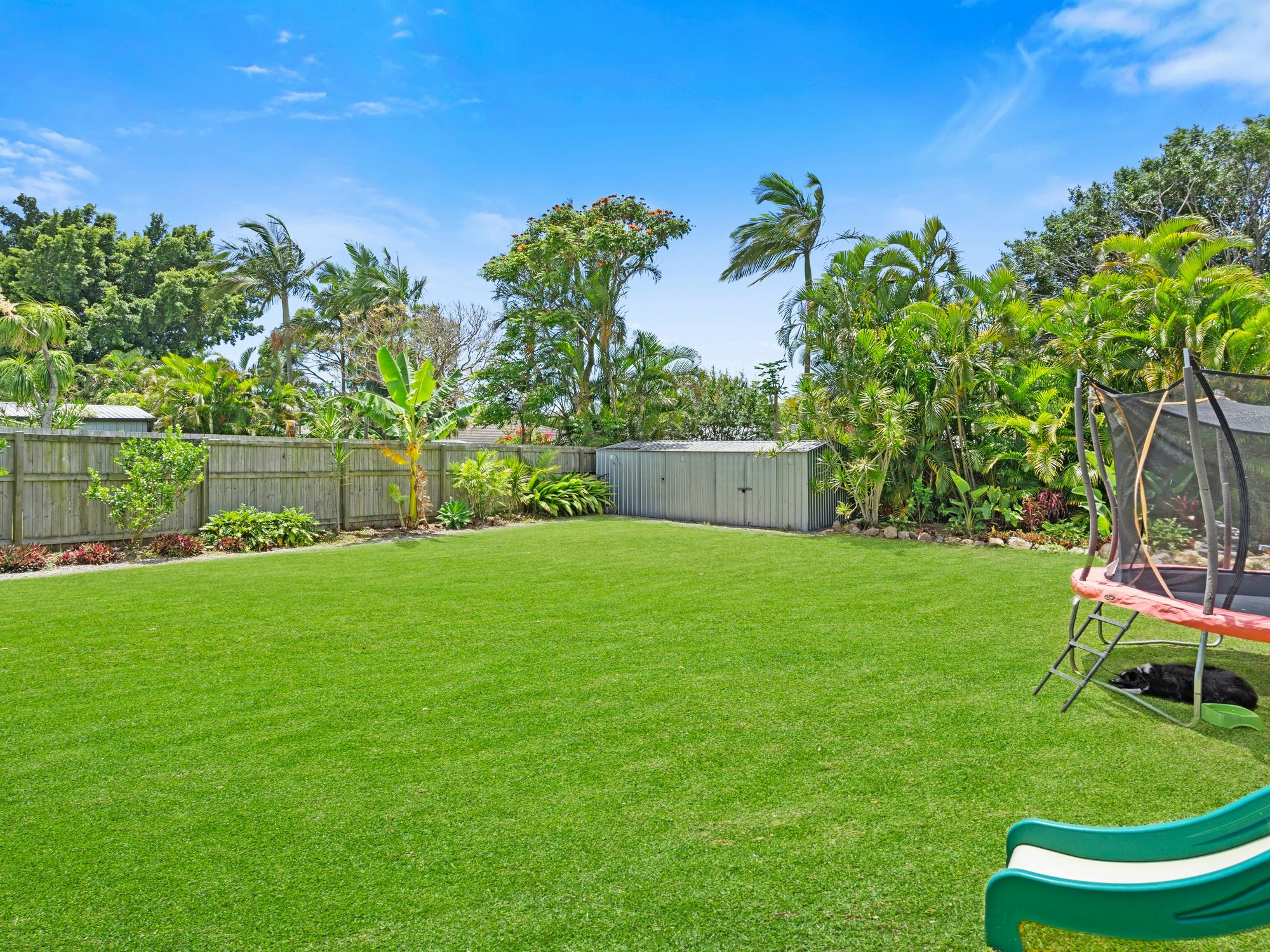 backyard