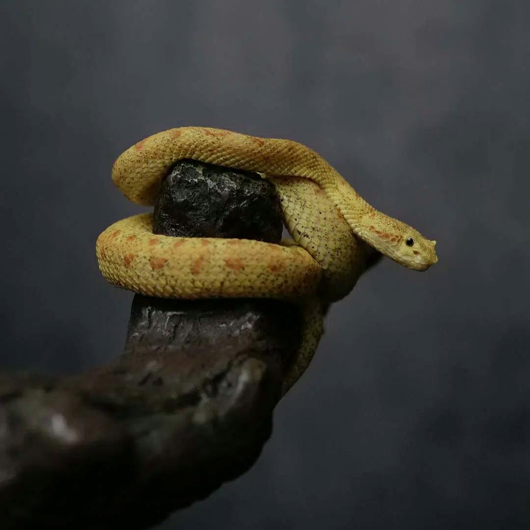 Office Pet