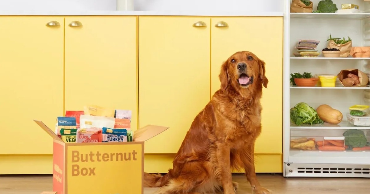 Butternut Box secures £65m debt funding from Liquidity to expand ...