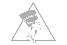 American Society for Aesthetic Plastic Surgeons logo