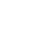 Fellow American College of Surgeons logo