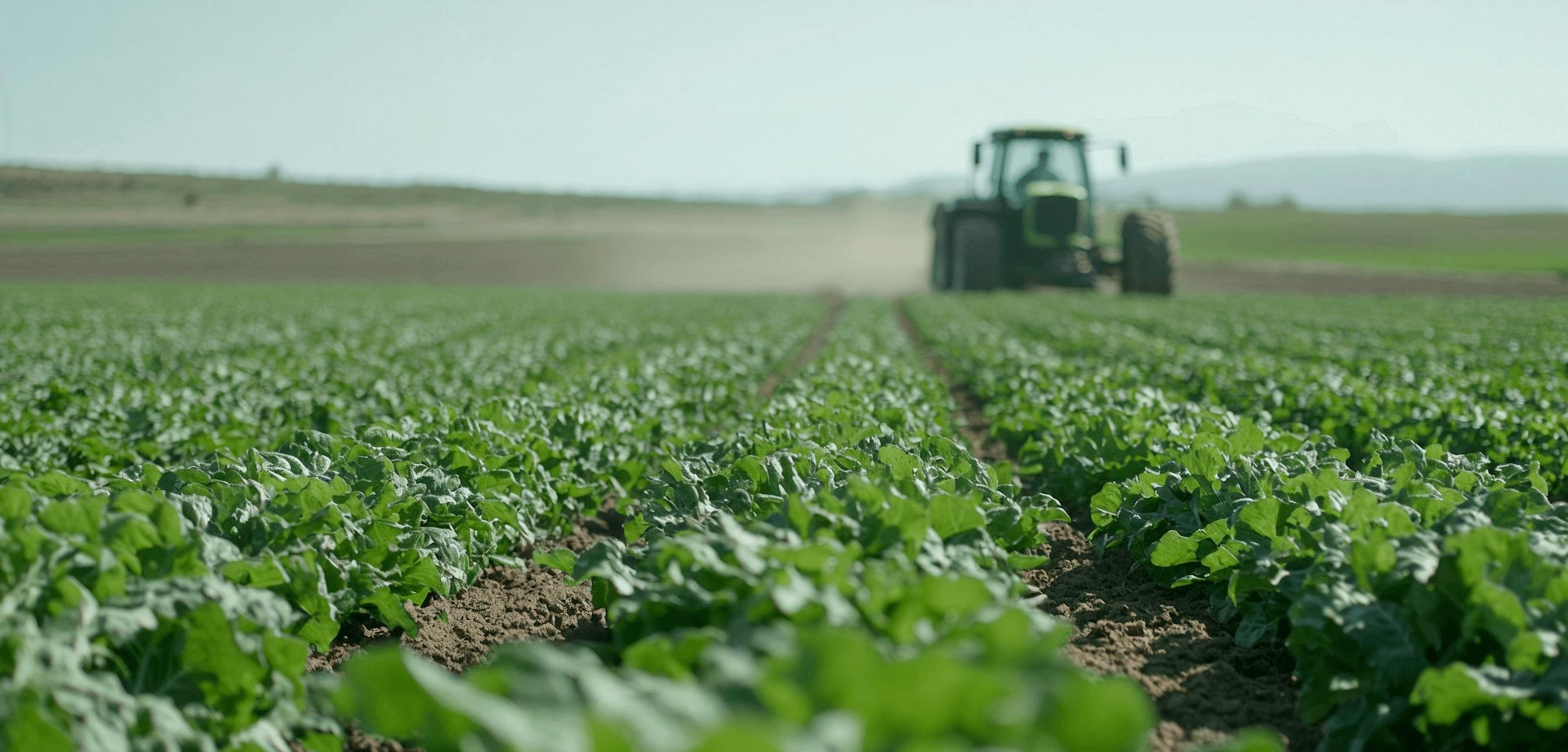 Agribusiness