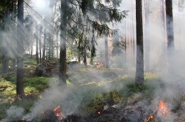 Emergenza incendi: cosa insegnano gli eventi estremi sulla gestione del rischio
