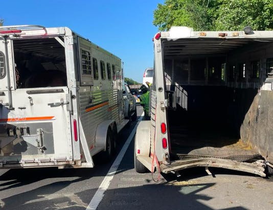 Accident with Animal Rescue on New Jersey Turnpike in Cherry Hill