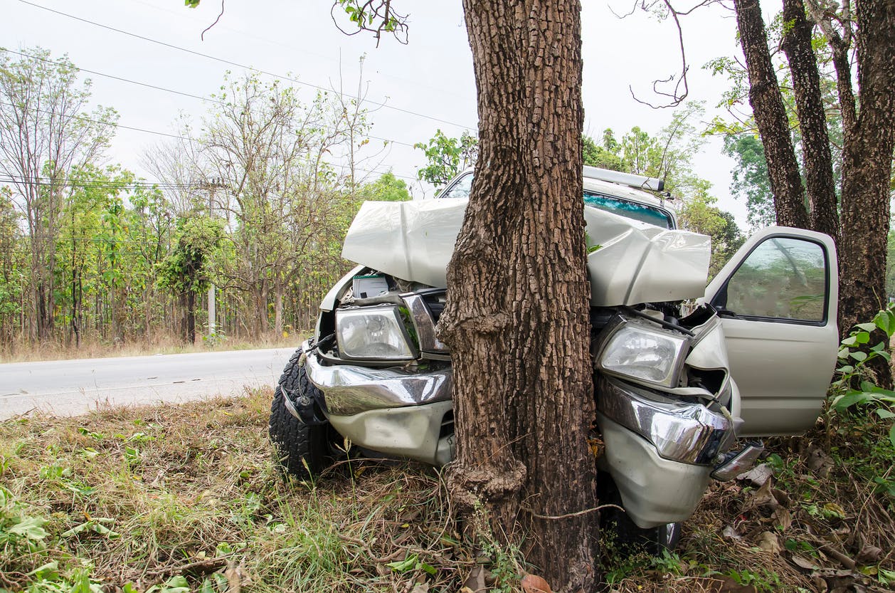 Car Strikes Tree in Logan Township, NJ