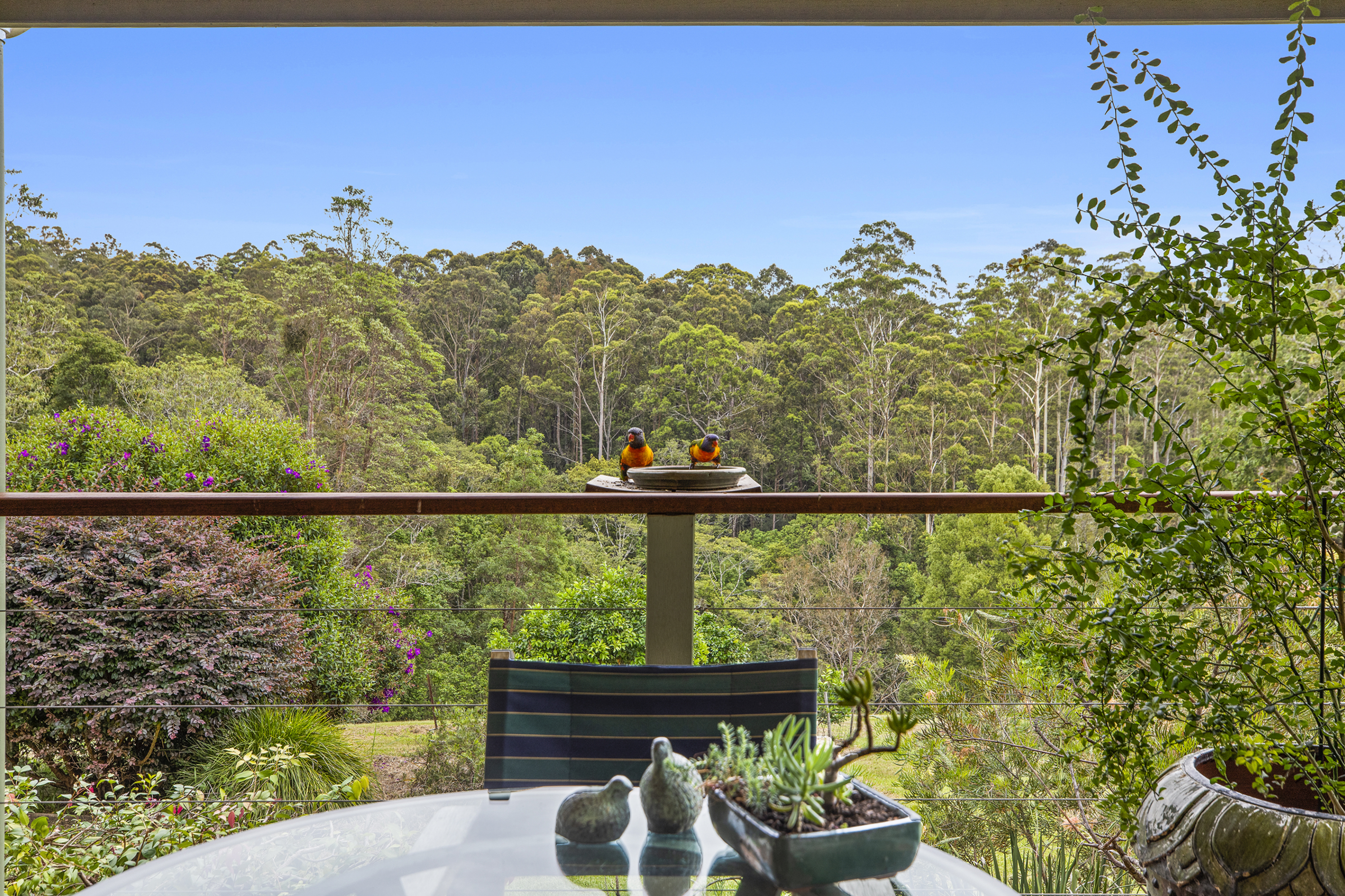 131 Mount Street, Bellingen - Thumbnail 4
