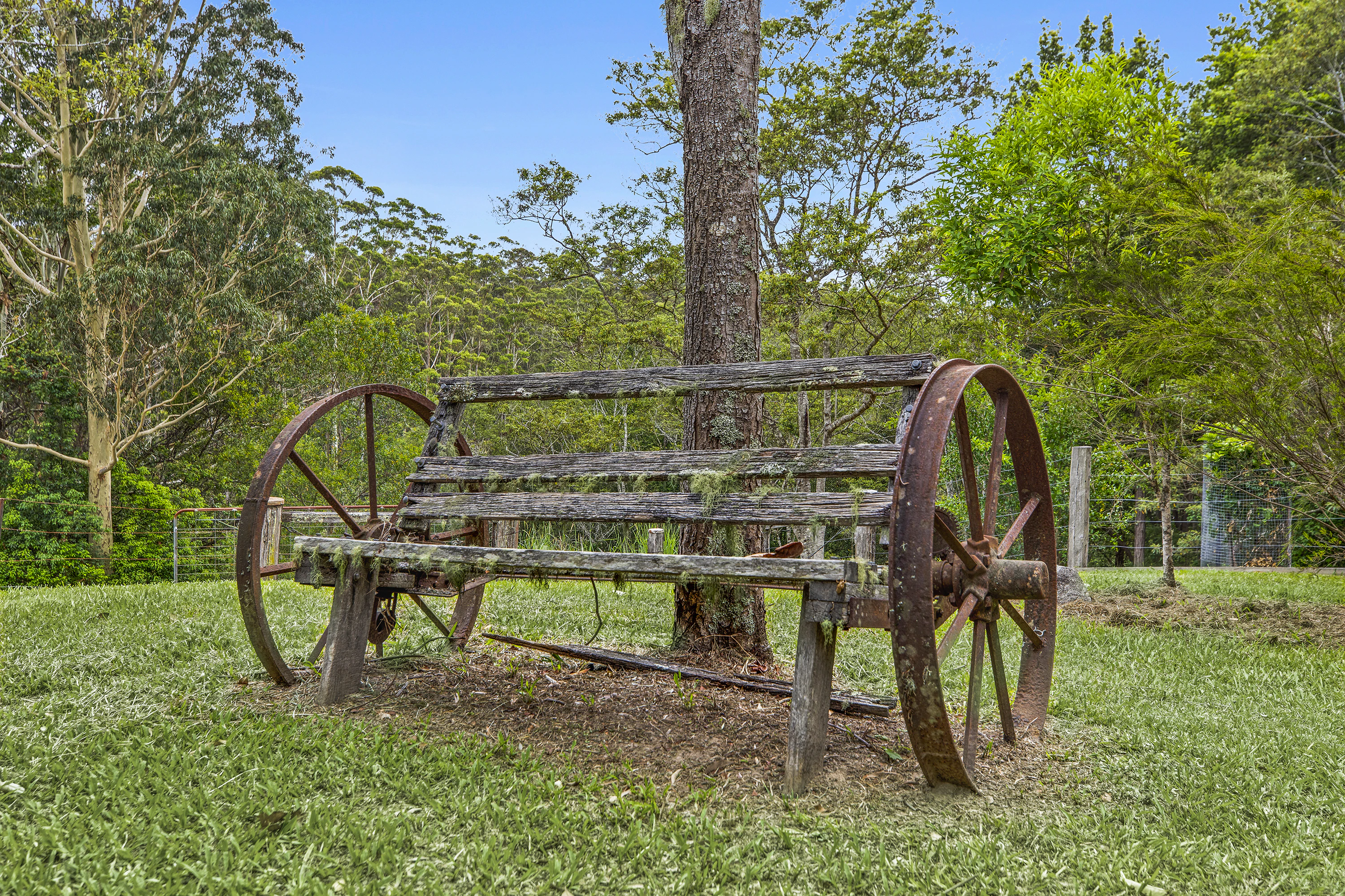 bench