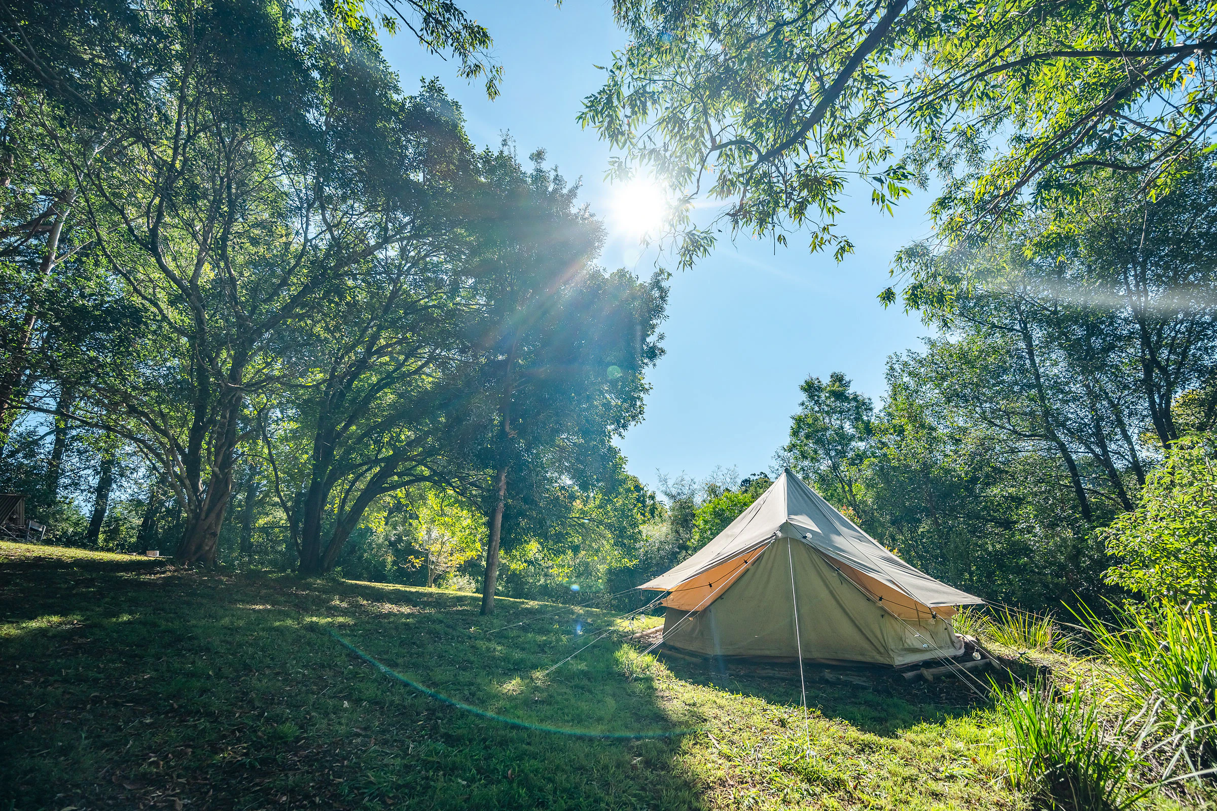 tent