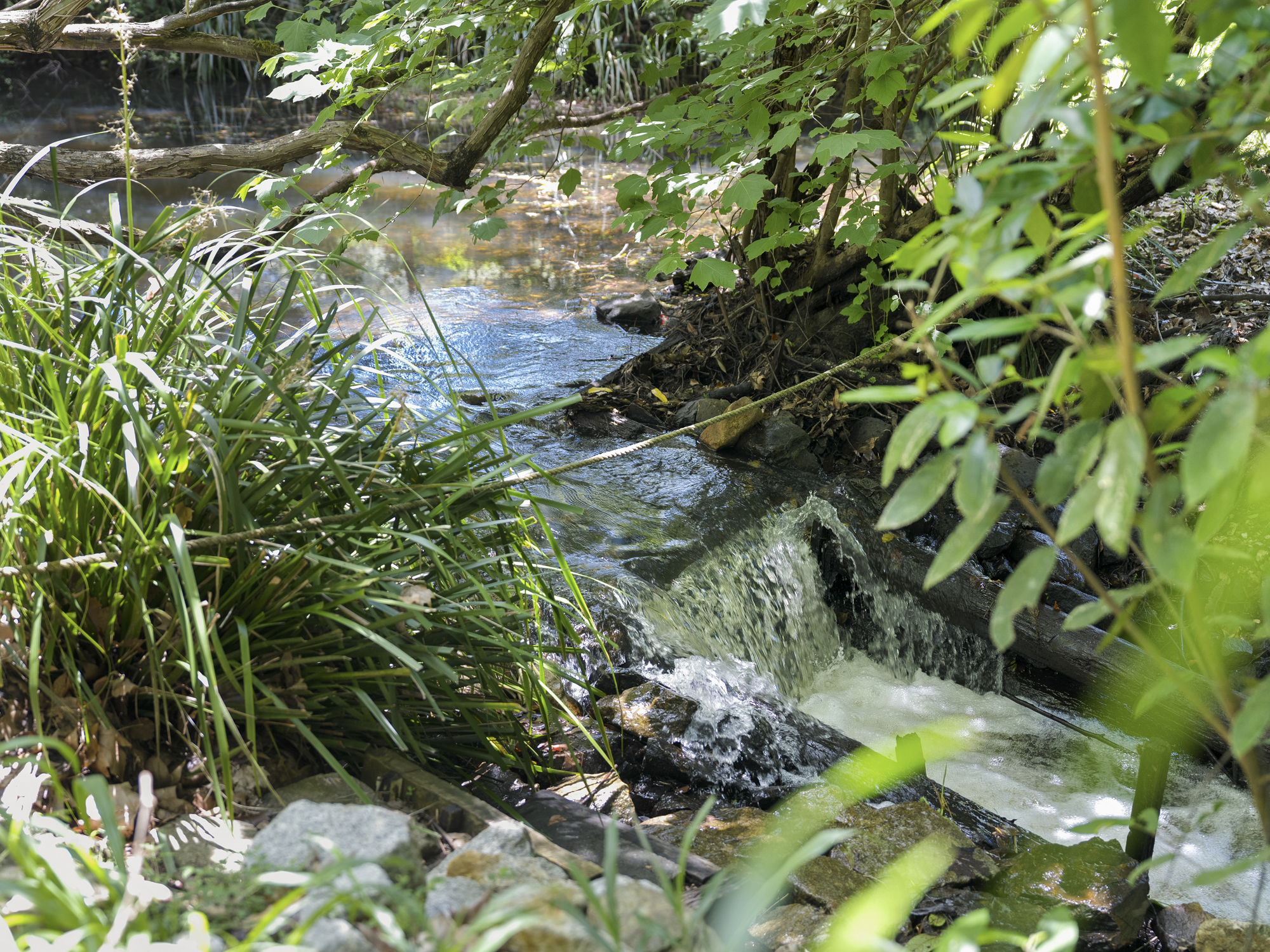 1350 Bowraville Road, Bellingen - Thumbnail 4