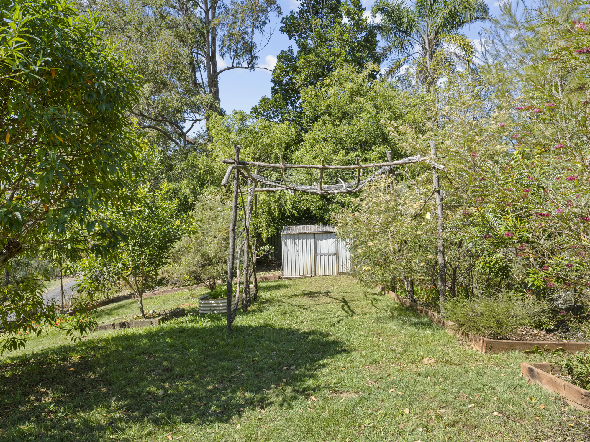 backyard