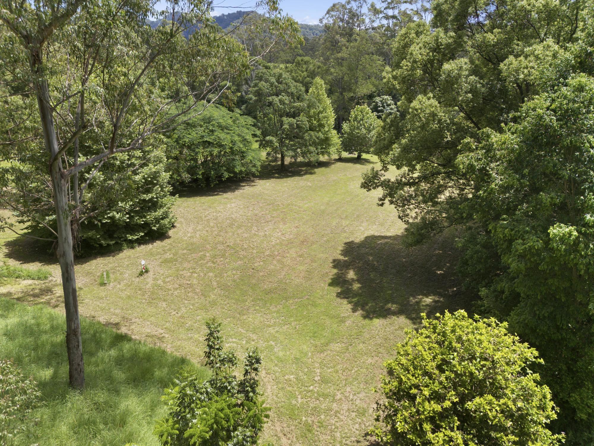 spicketts creek