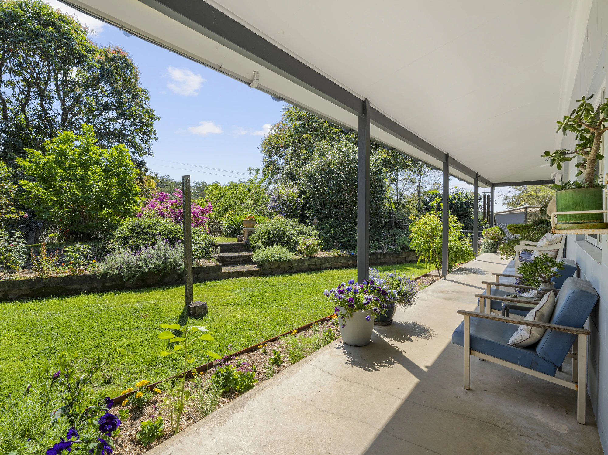 garden