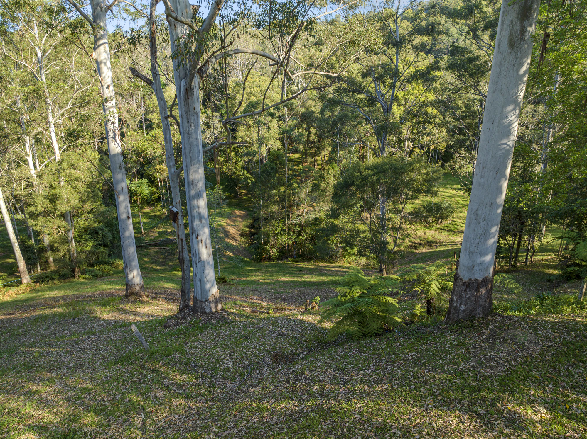 grove