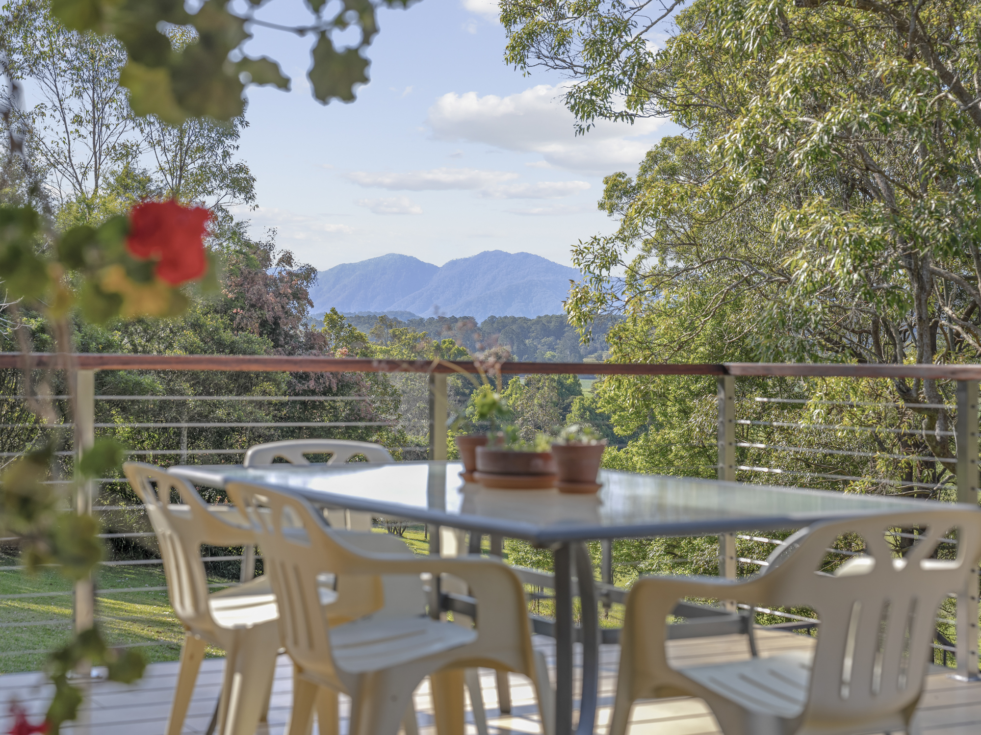 216 Mount Street, Bellingen - Image 1