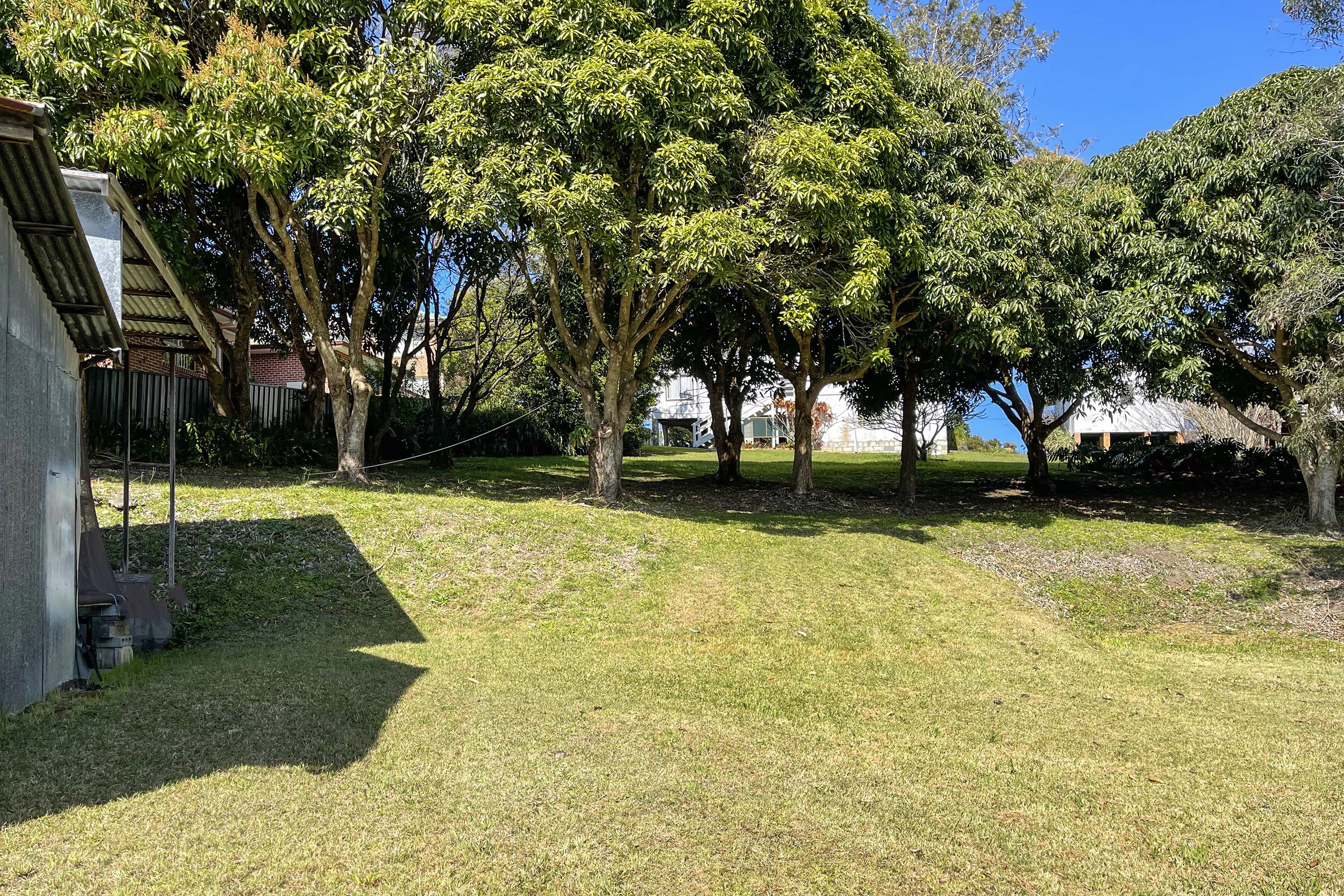 grass