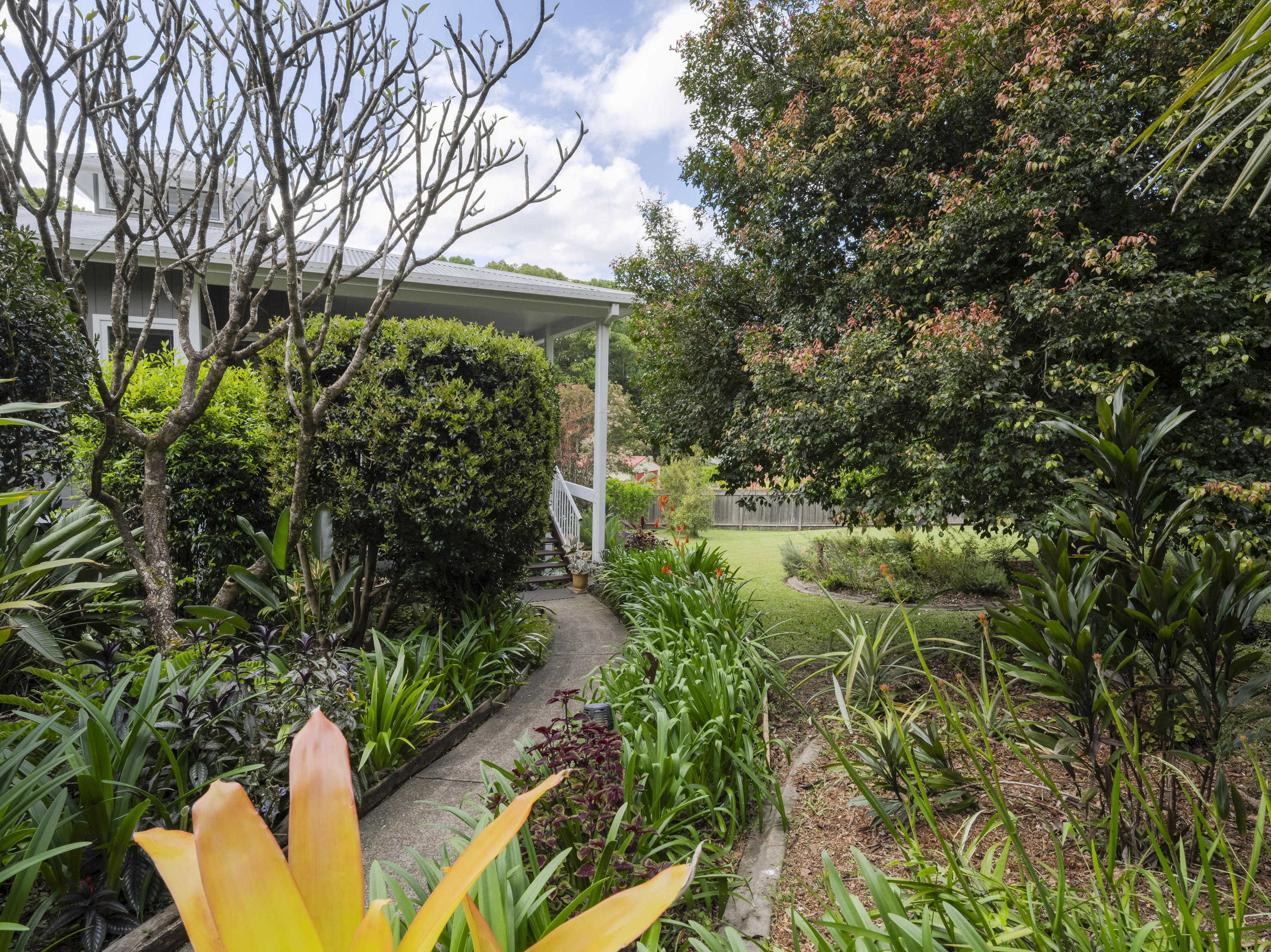 garden