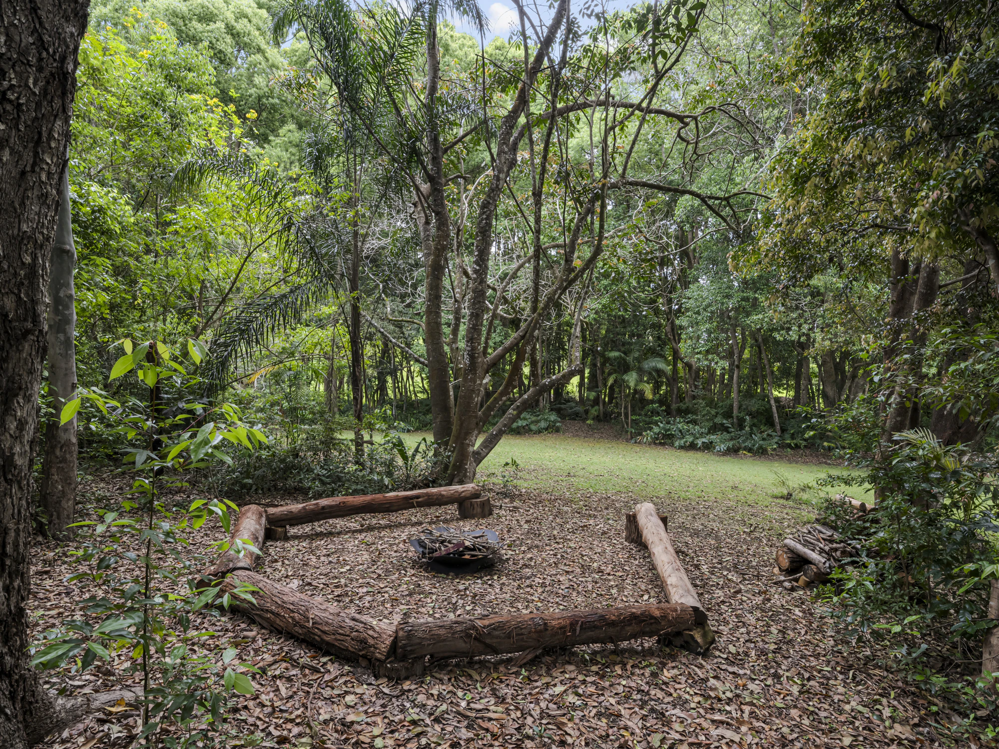vegetation