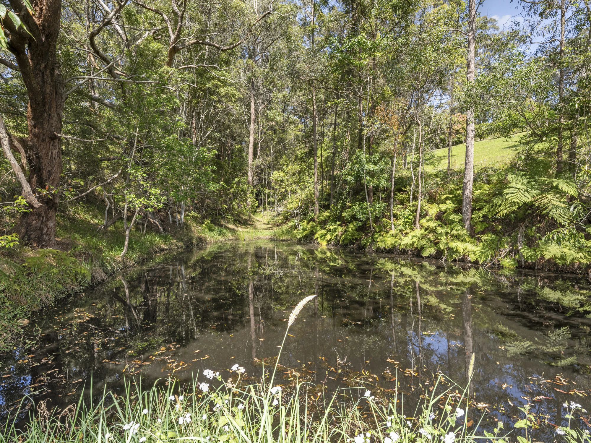 land