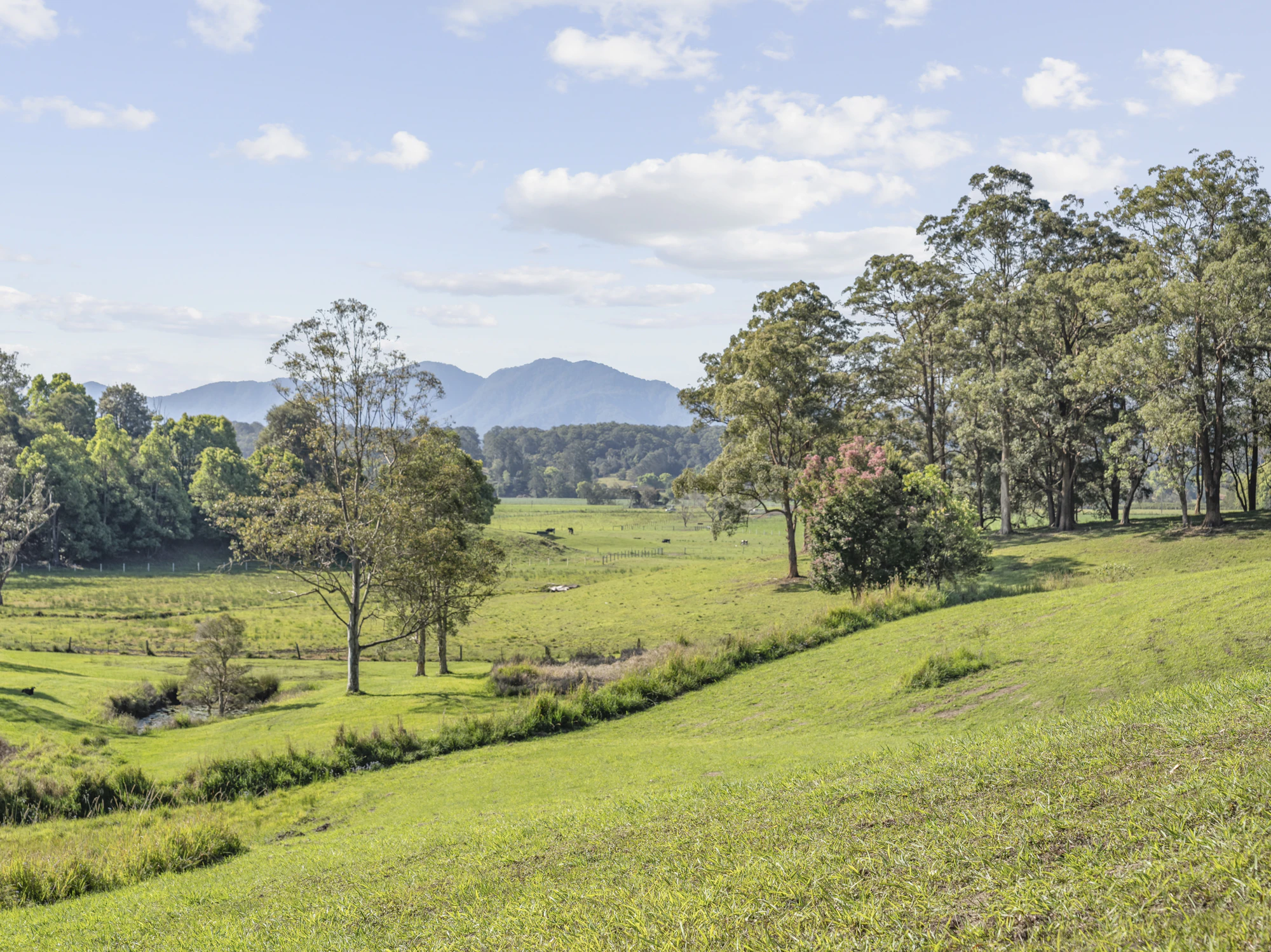 countryside