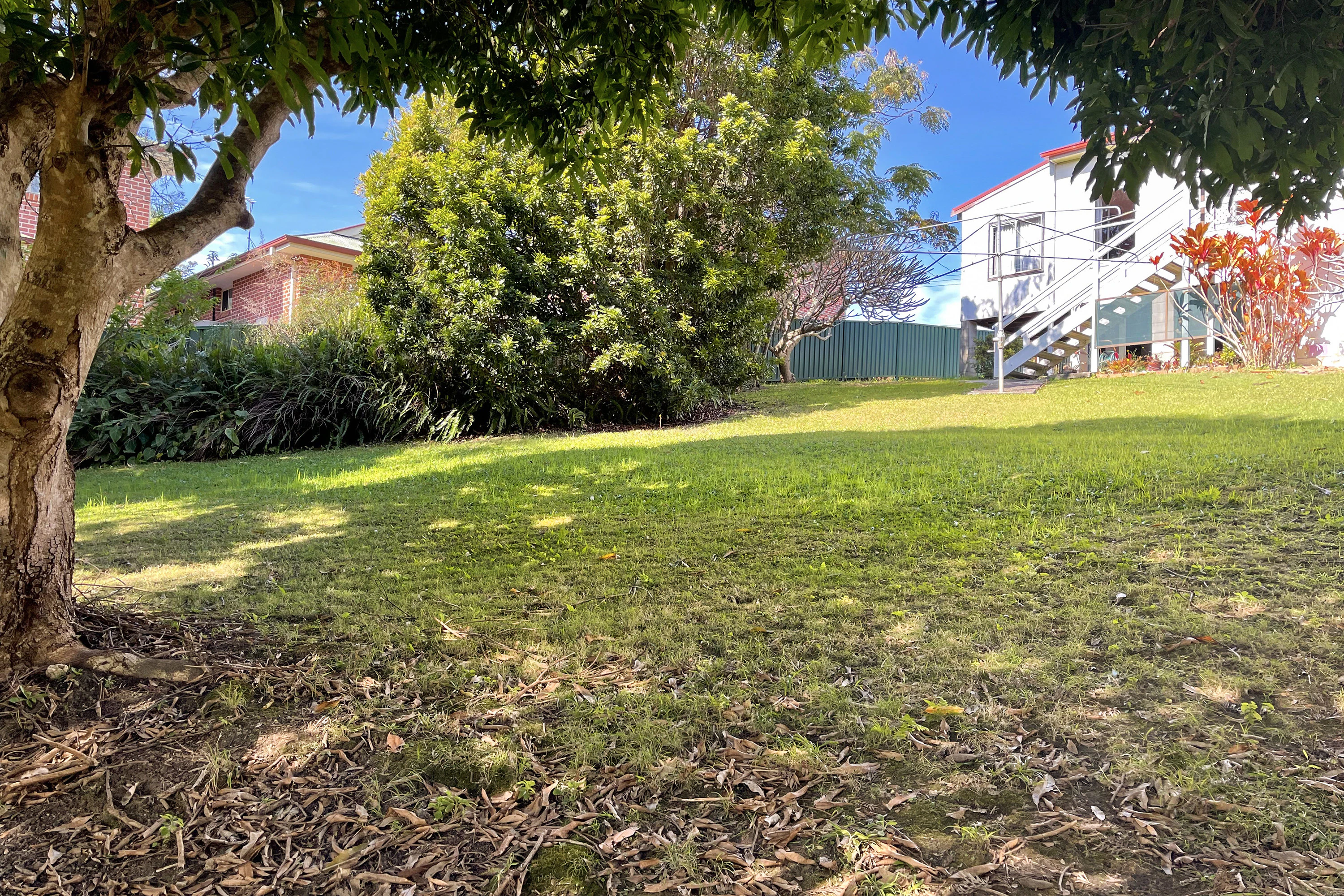 grass