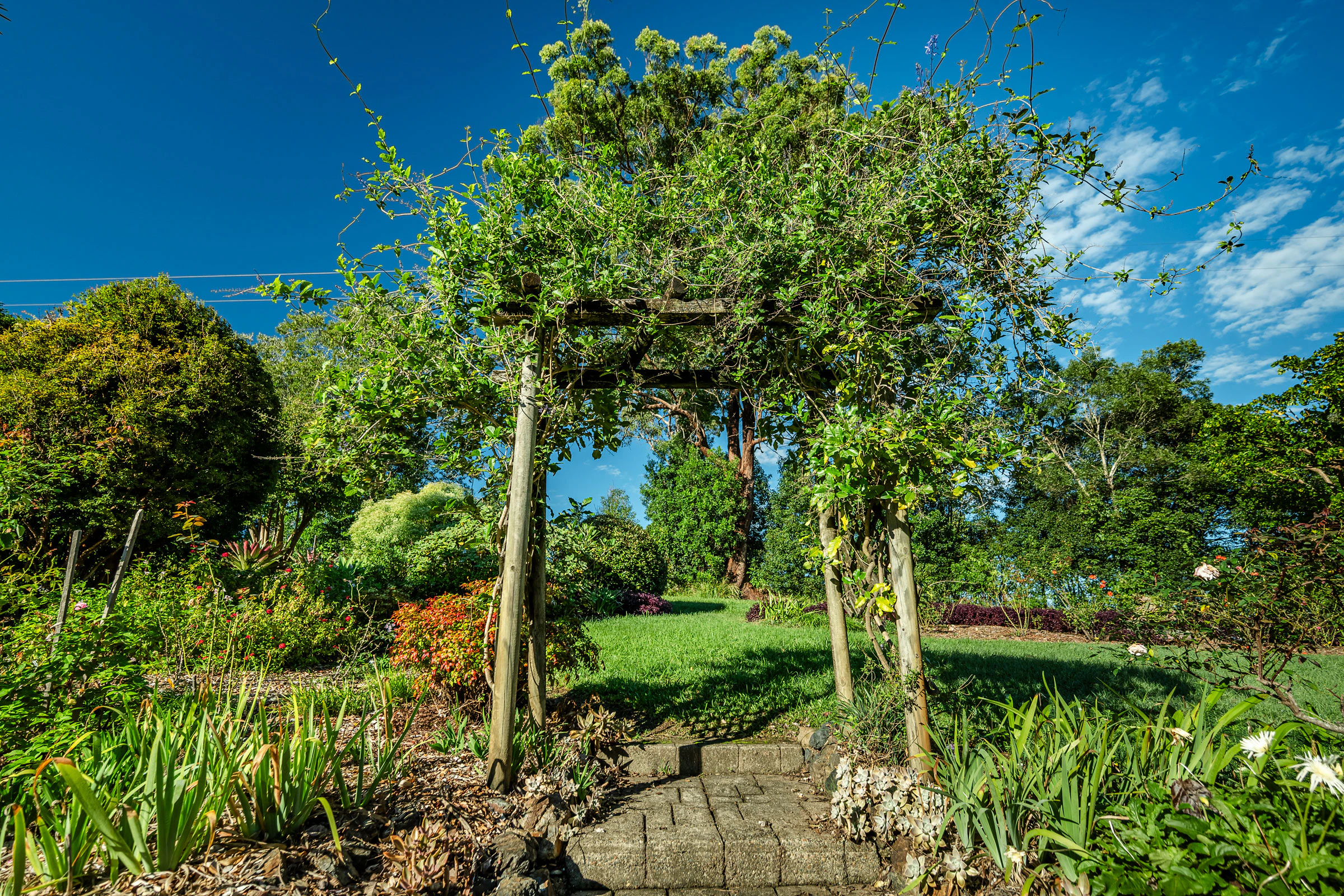 garden