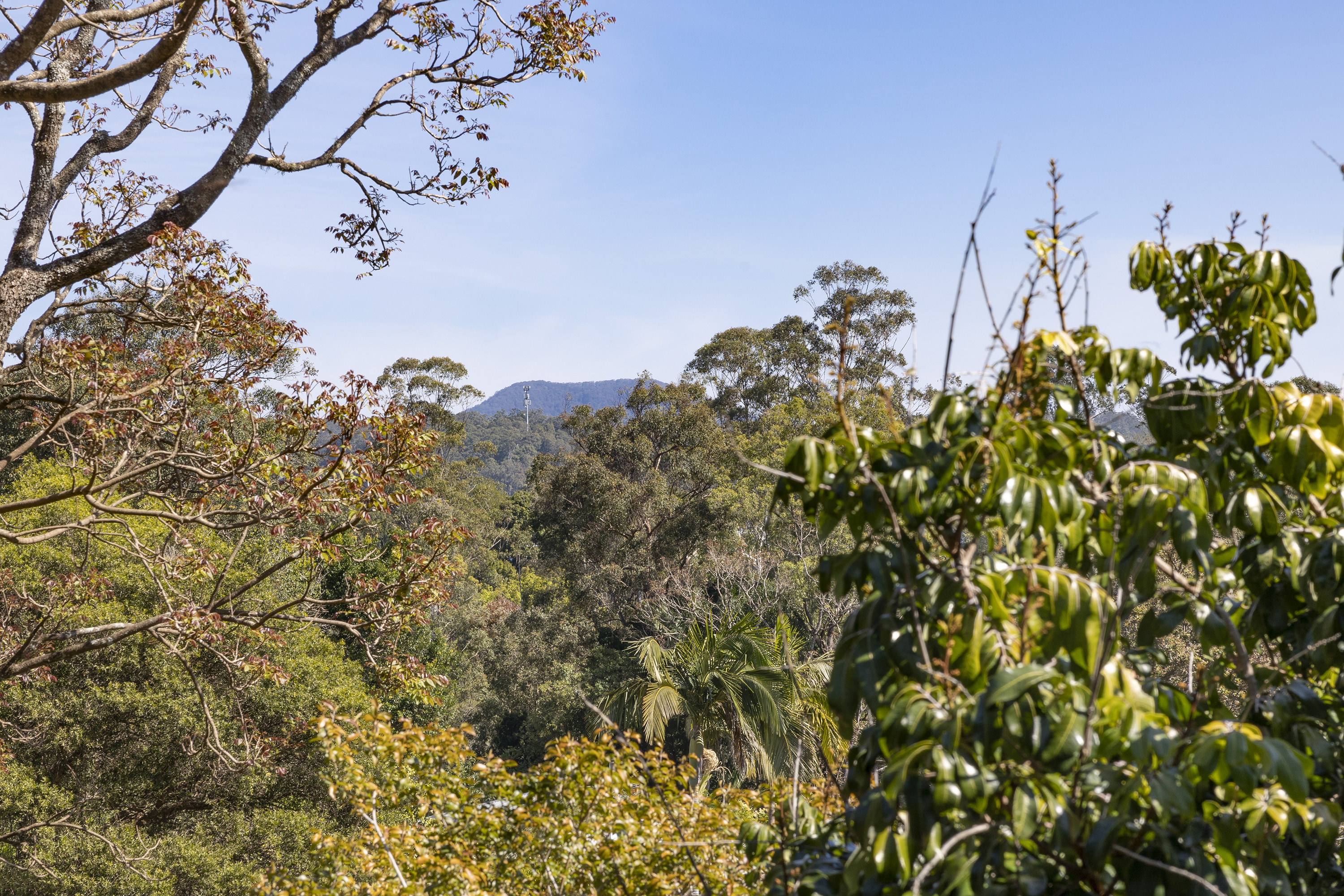 18 Ringwood Place, Bellingen - Thumbnail 8
