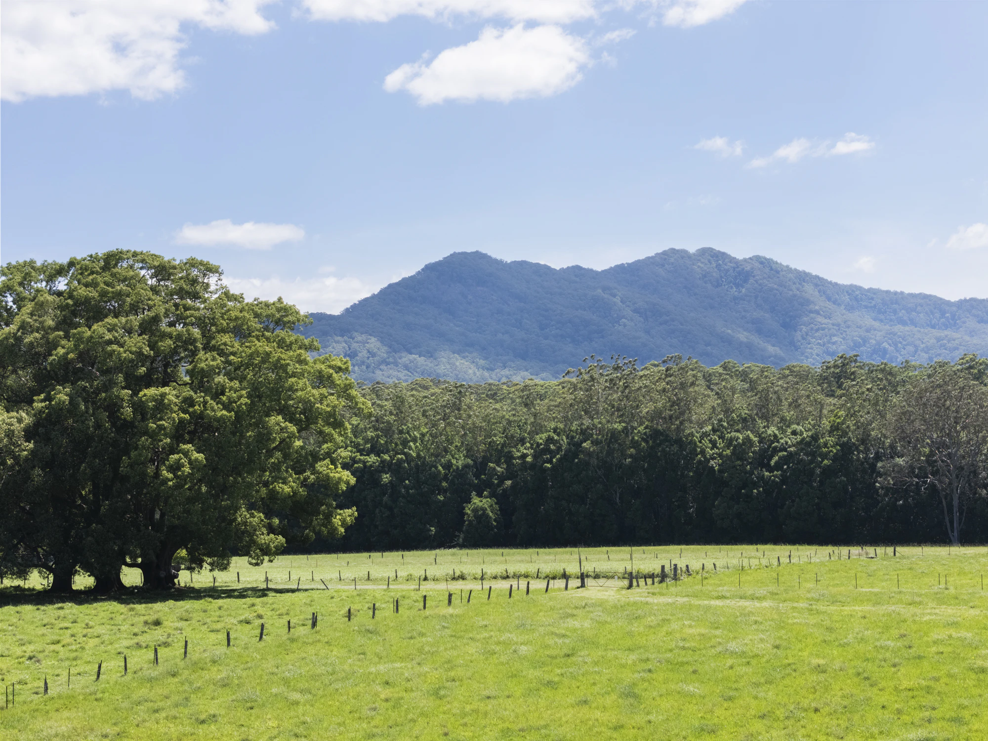 gleniffer