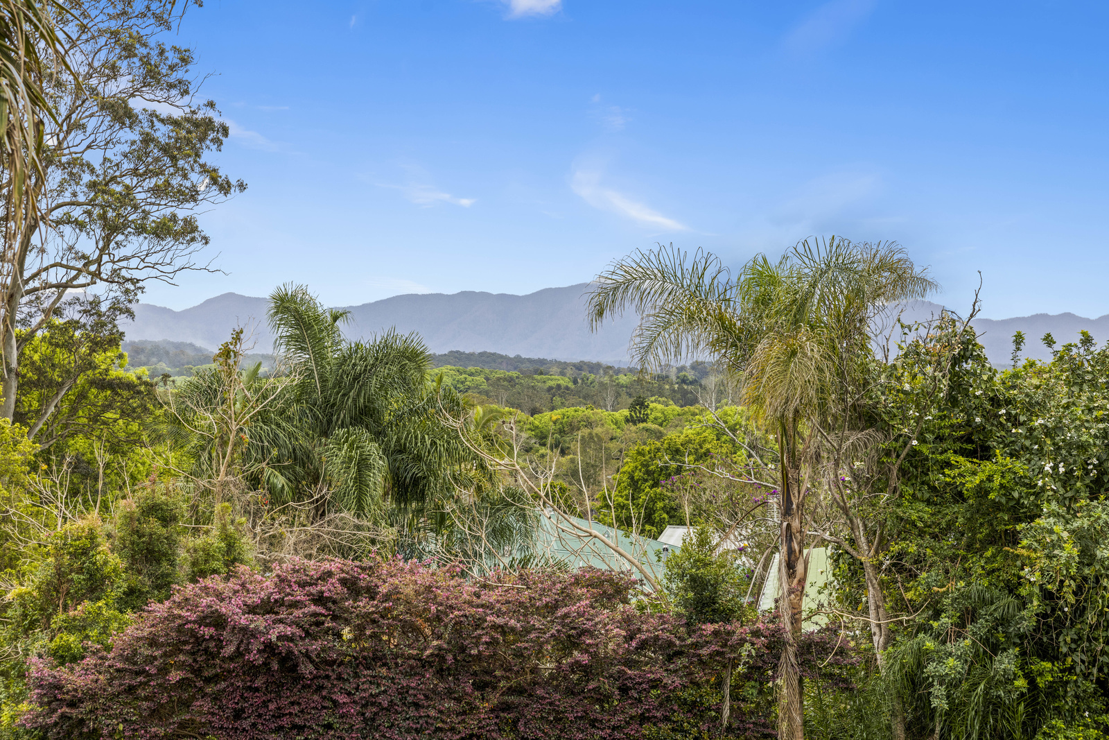 13 Valley View Drive, Bellingen - Thumbnail 2