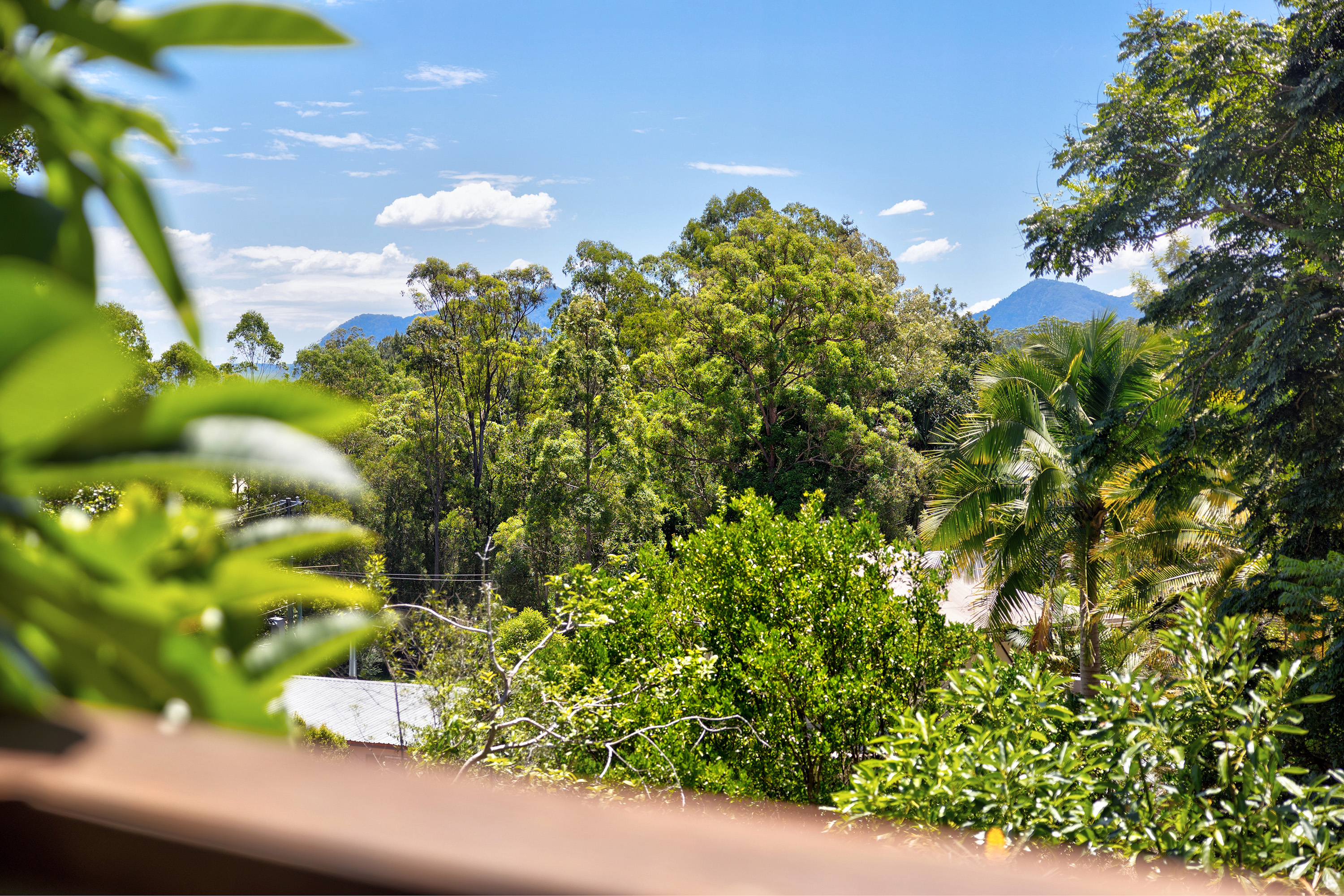 46 Lyon Street, Bellingen - Thumbnail 2
