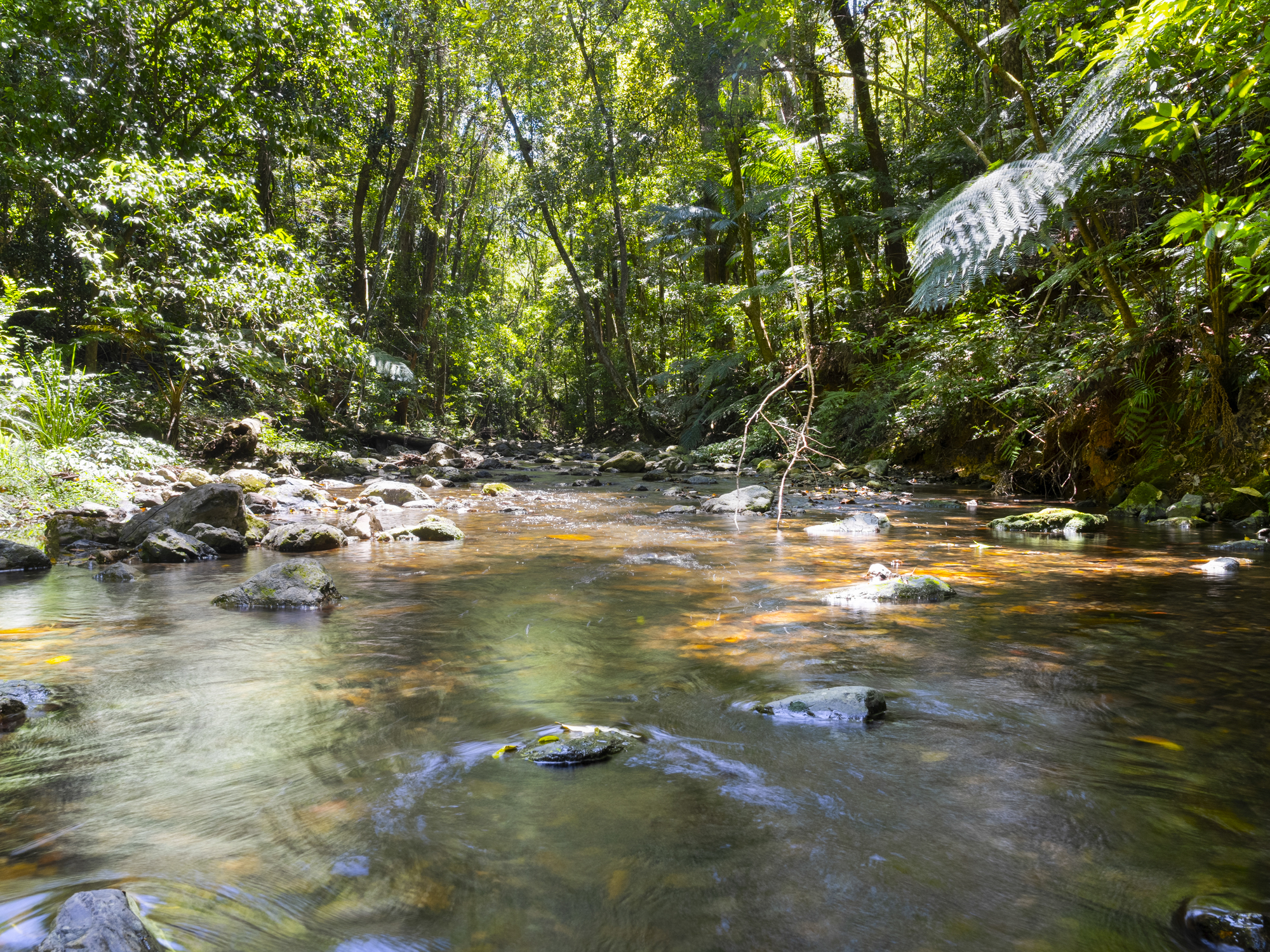 102 - Lot 2 & 61 Adams Road, Bellingen - Thumbnail 2