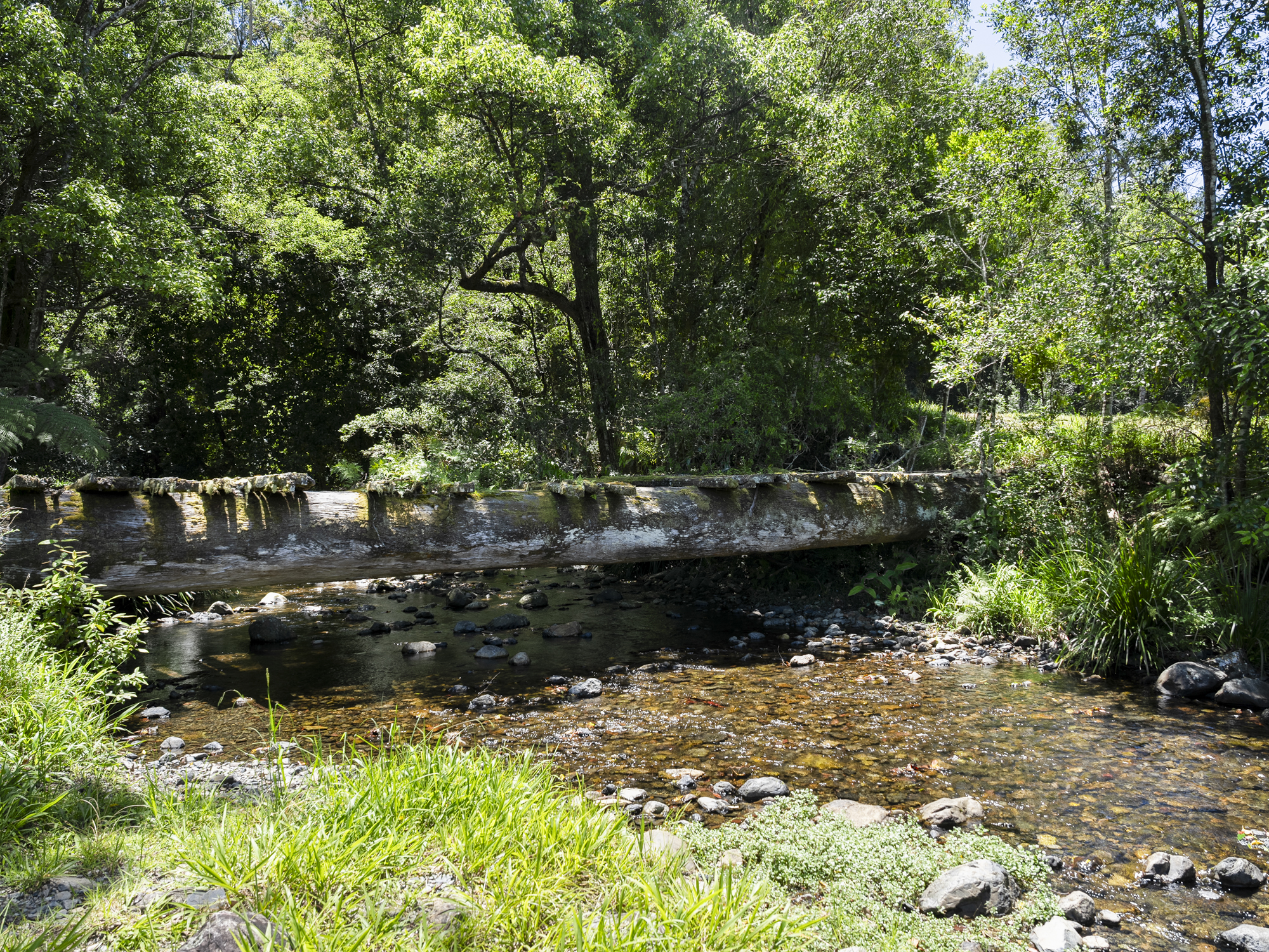 102 - Lot 2 & 61 Adams Road, Bellingen - Thumbnail 4