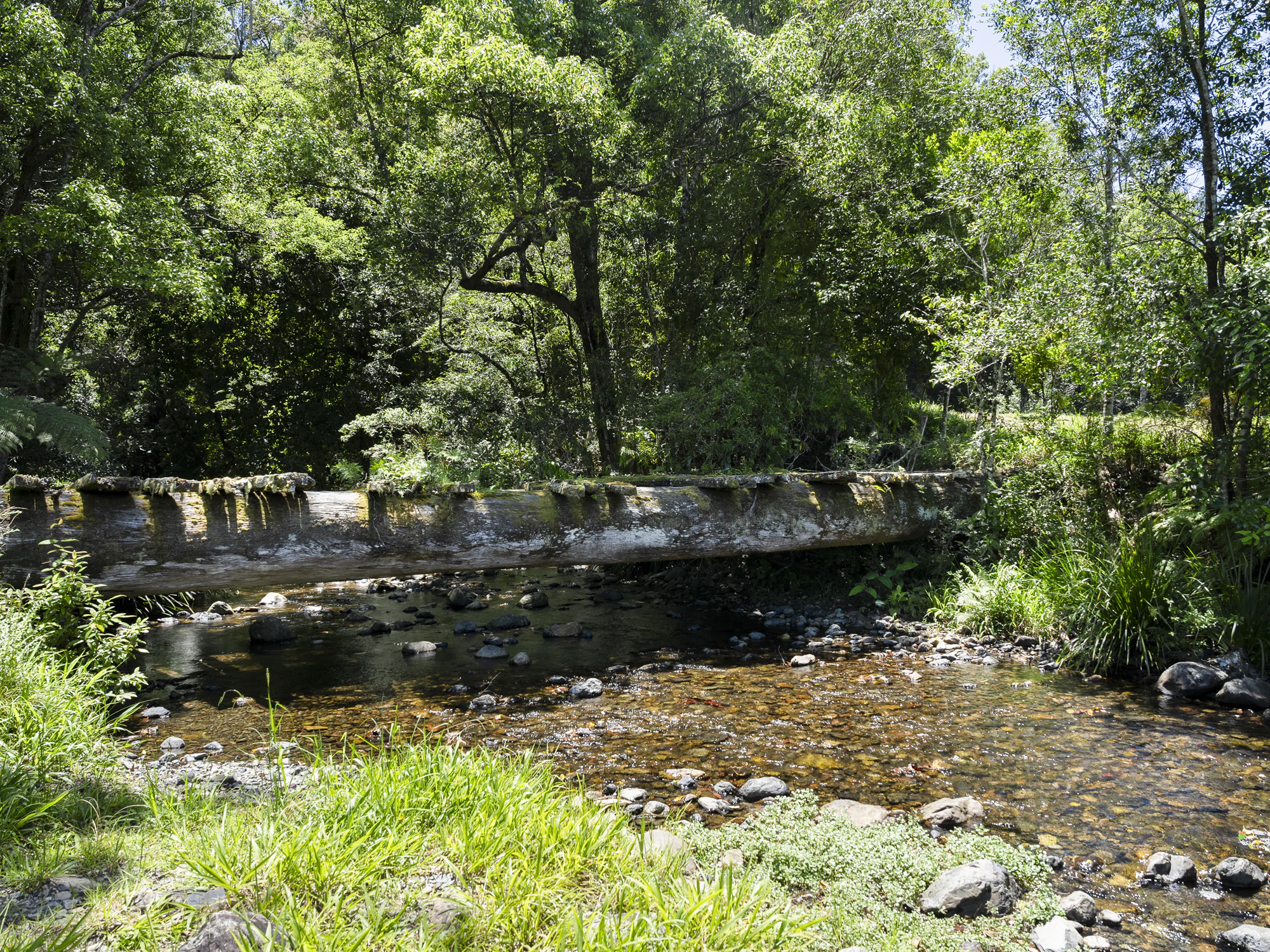 nature