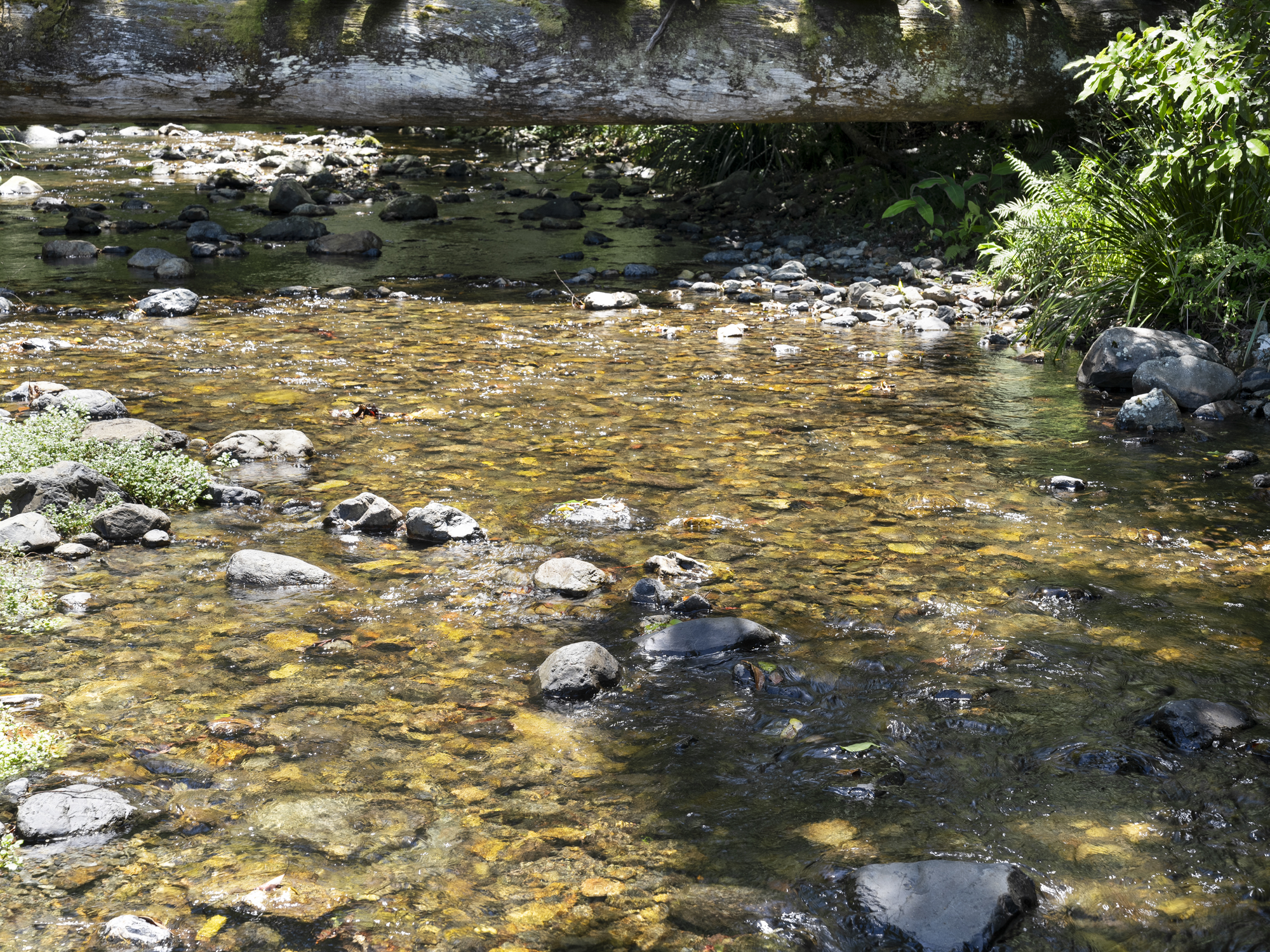 102 - Lot 2 & 61 Adams Road, Bellingen - Thumbnail 6