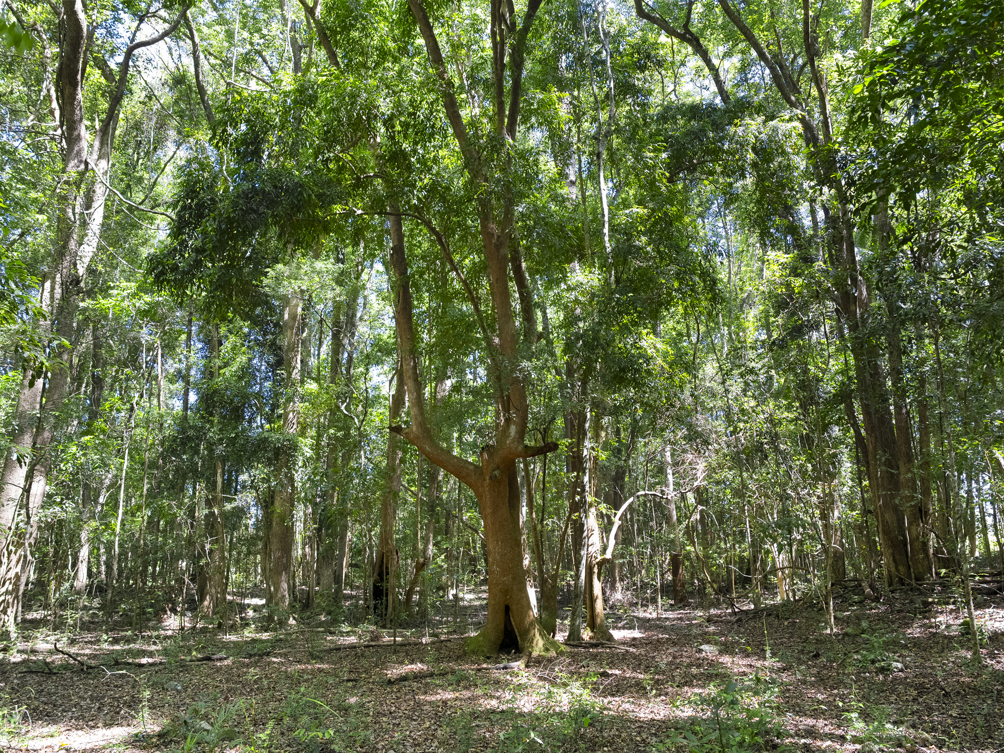 102 - Lot 2 & 61 Adams Road, Bellingen - Thumbnail 5