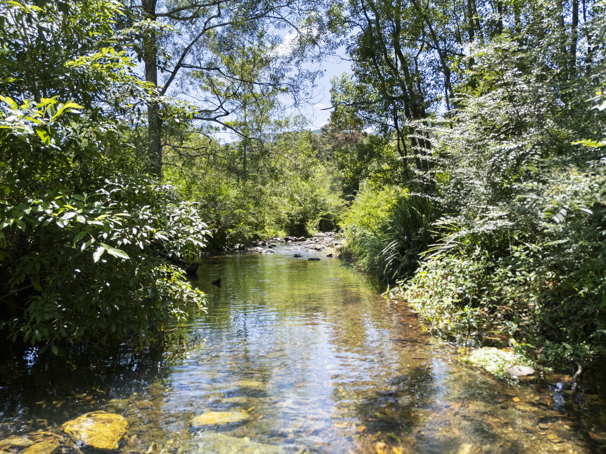 gleniffer