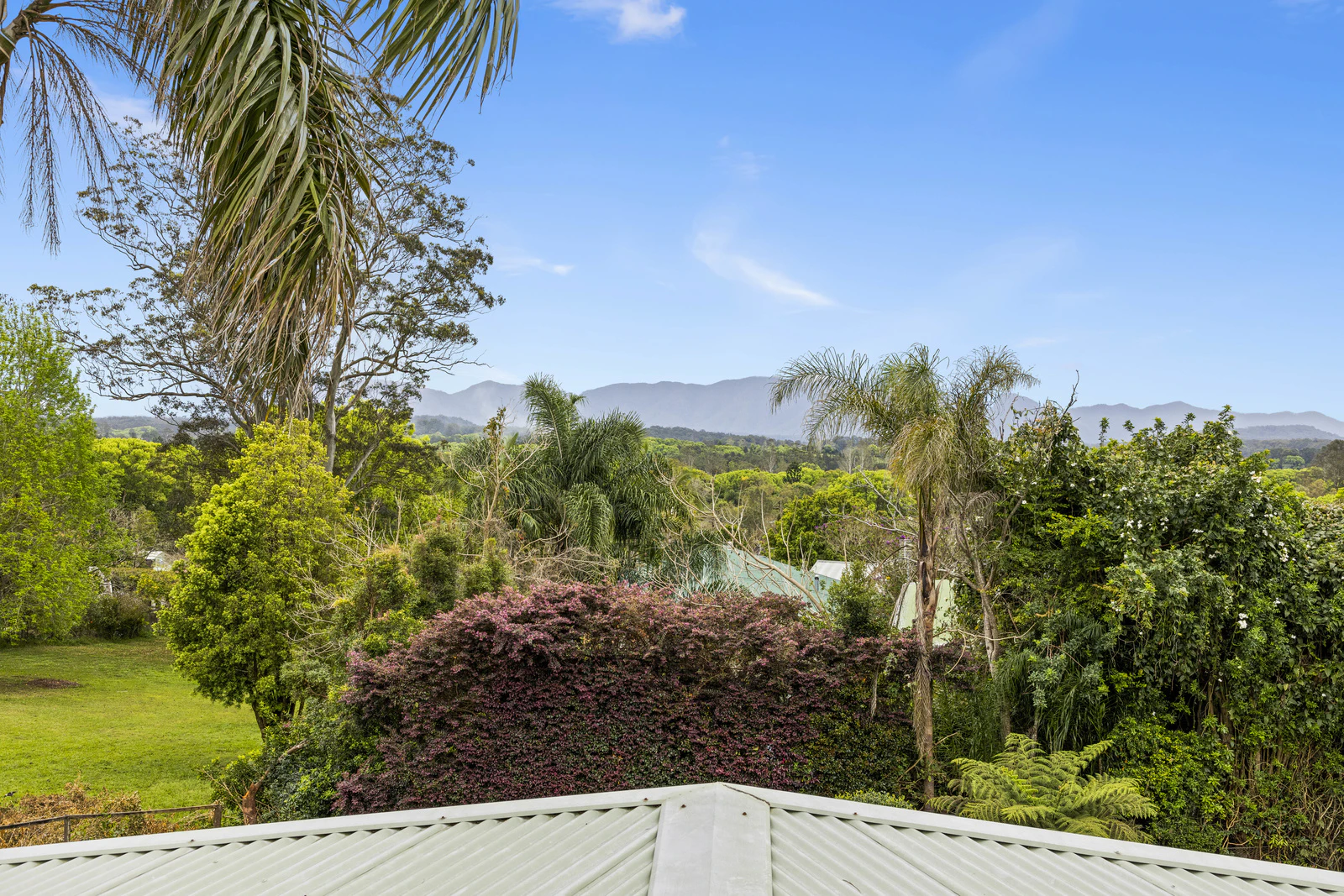 vegetation