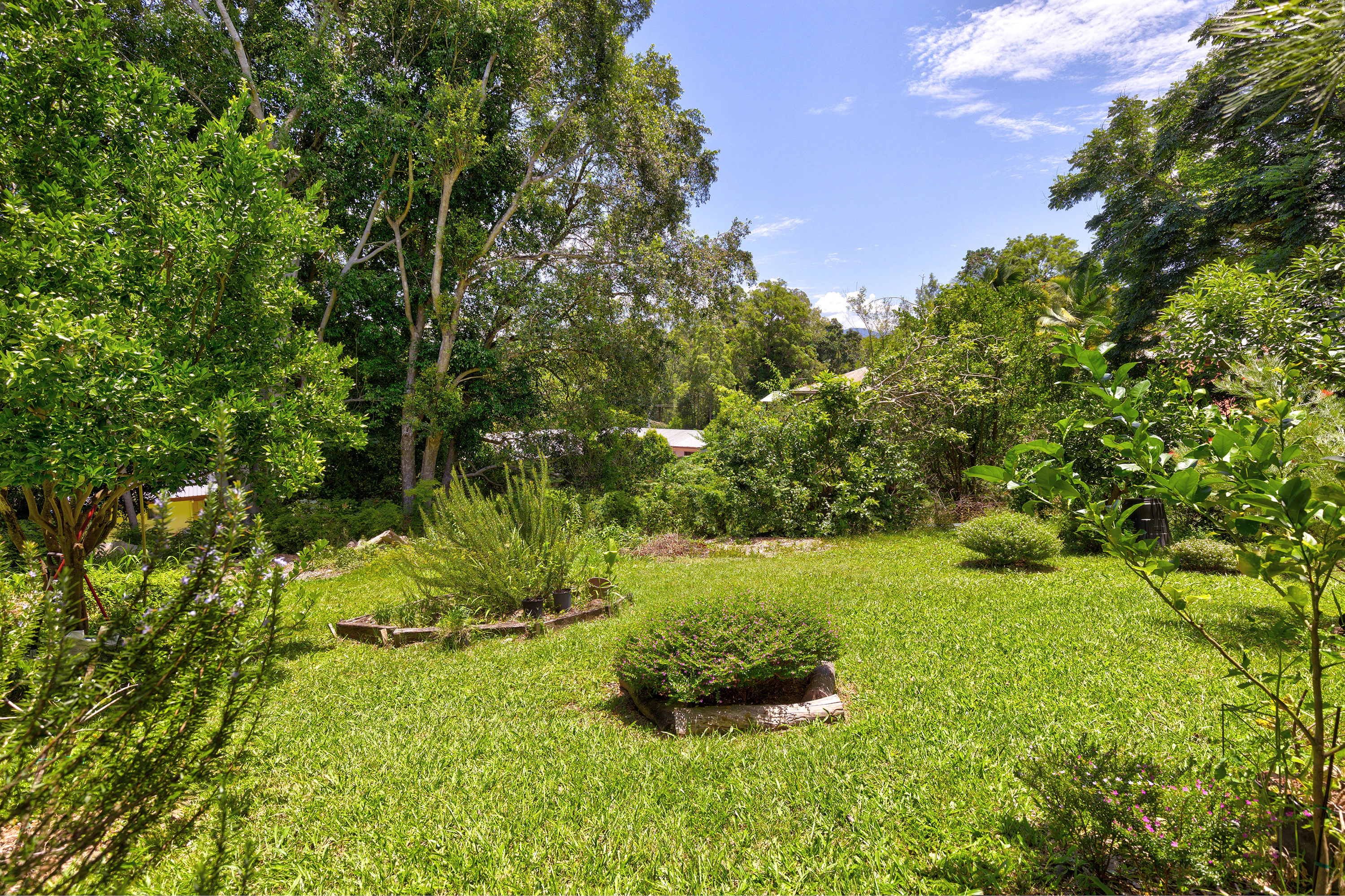 vegetation